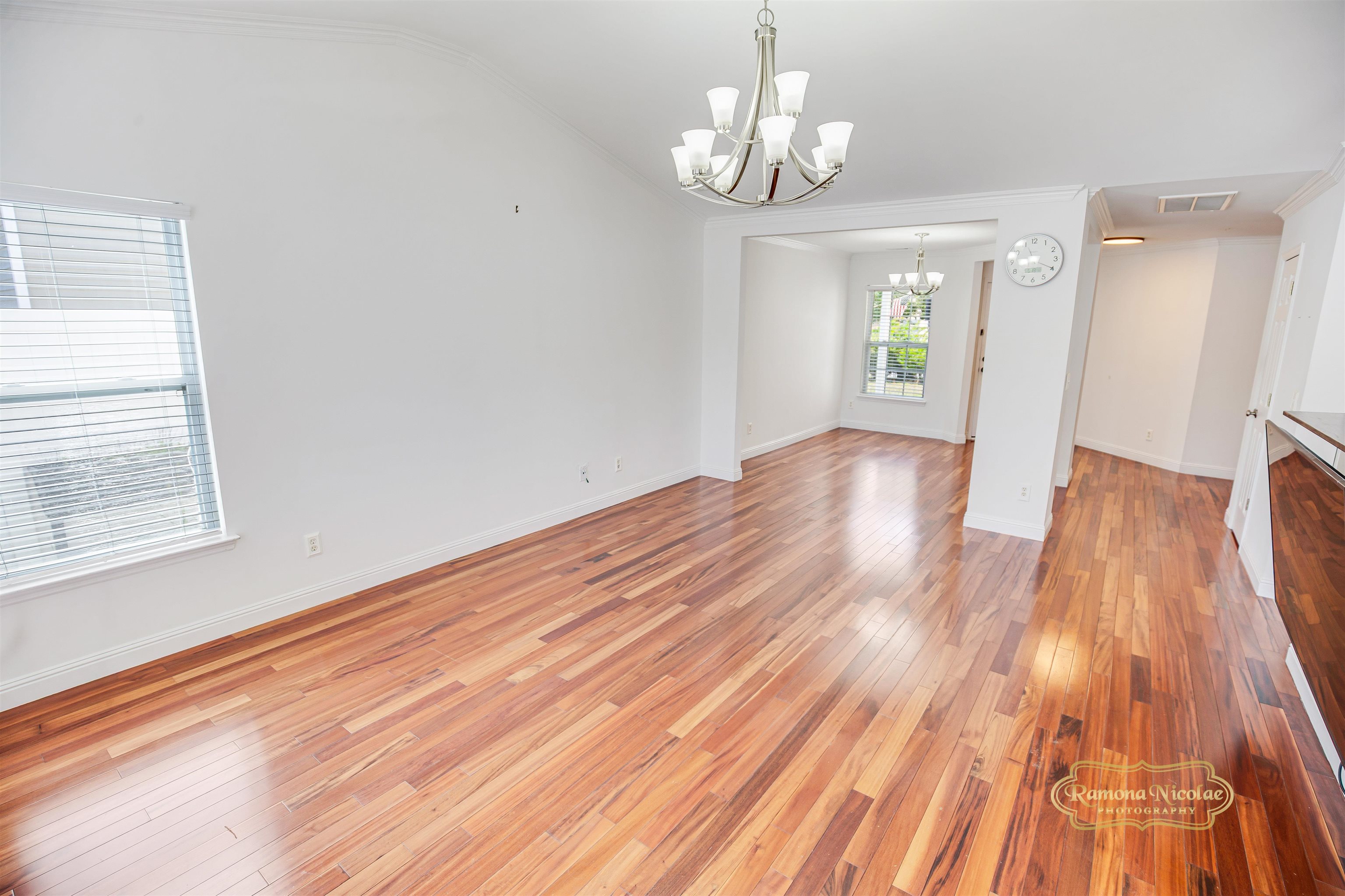 425 Bellegrove Dr. Property Photo 7
