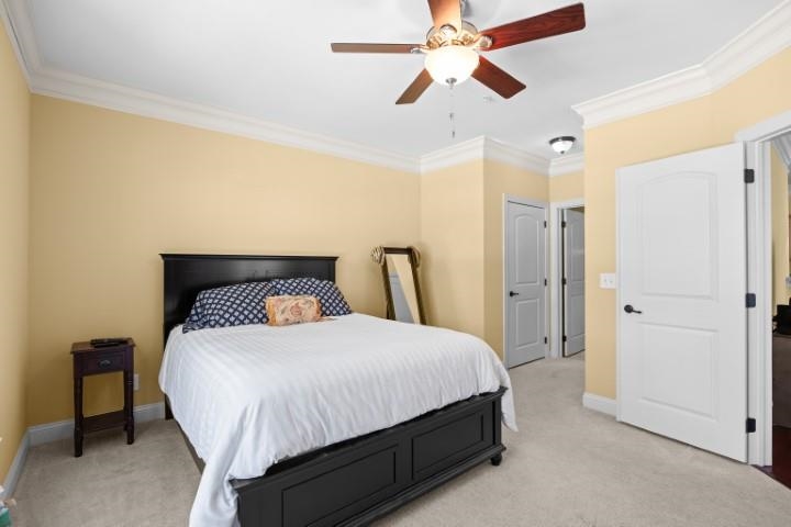 100 Ella Kinley Circle Property Photo 14