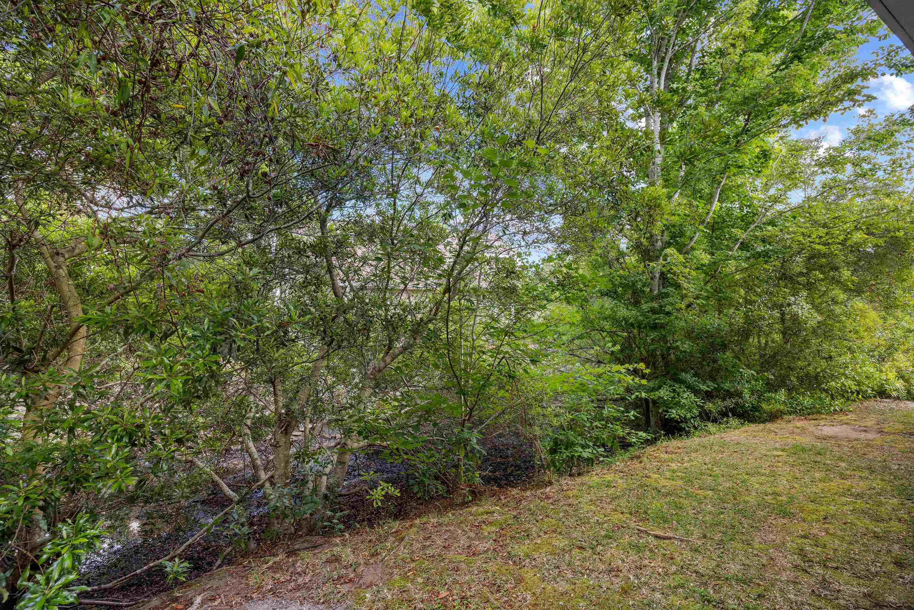 1534 Gulfstream Ct. Property Photo 35