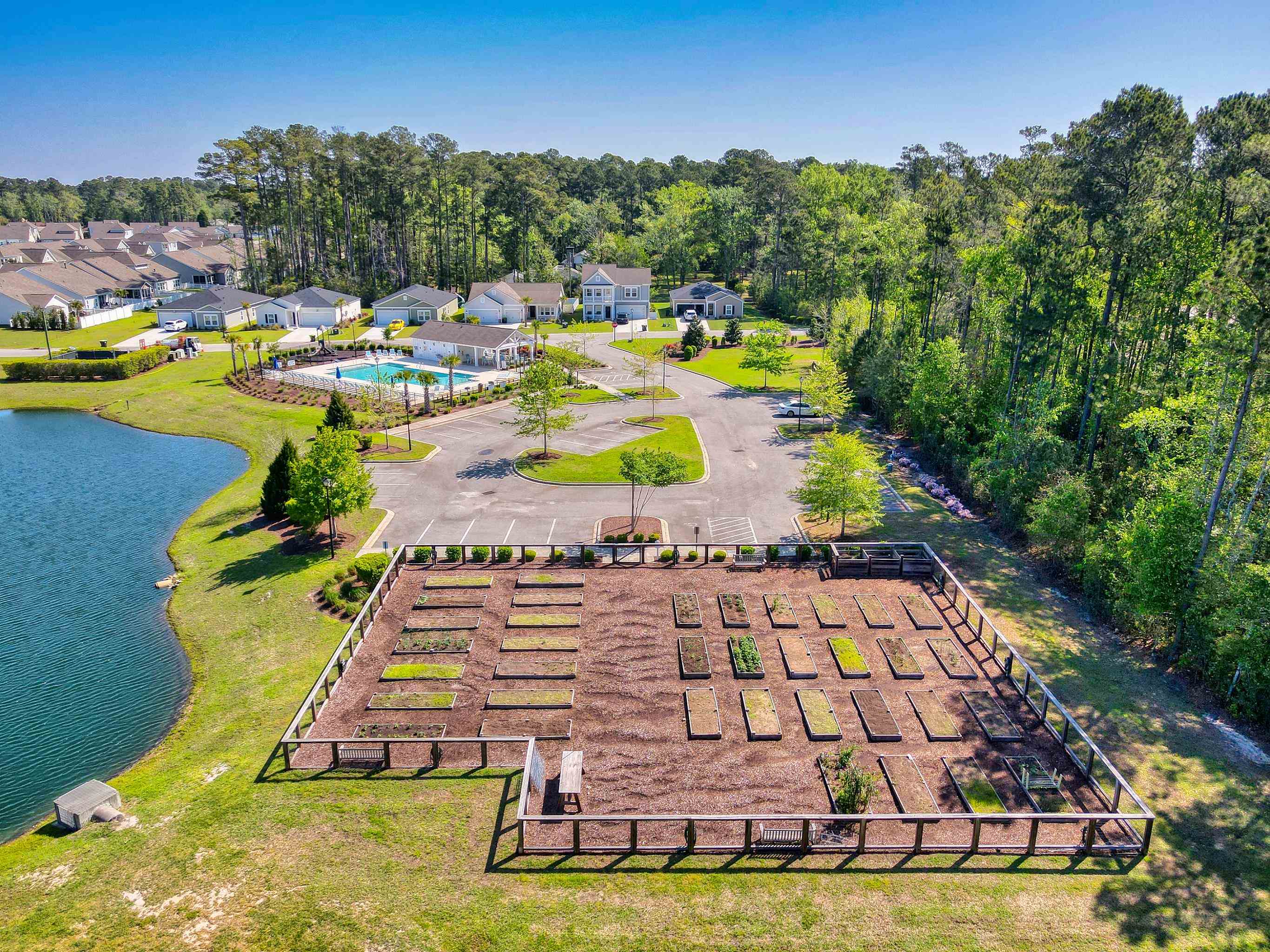 3348 Piney Woods Way Property Photo 49