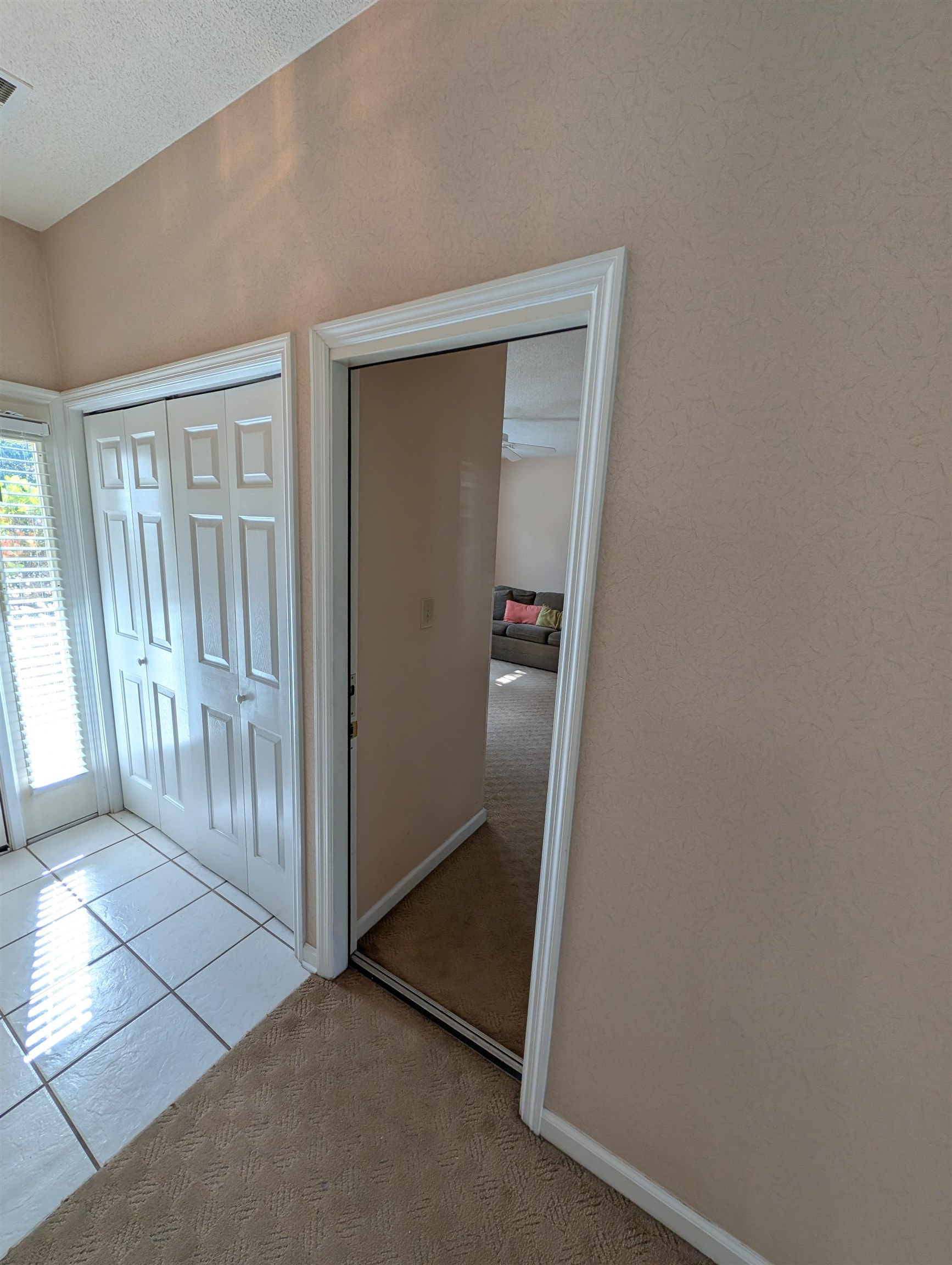 100 Scotch Broom Dr. Property Photo 7