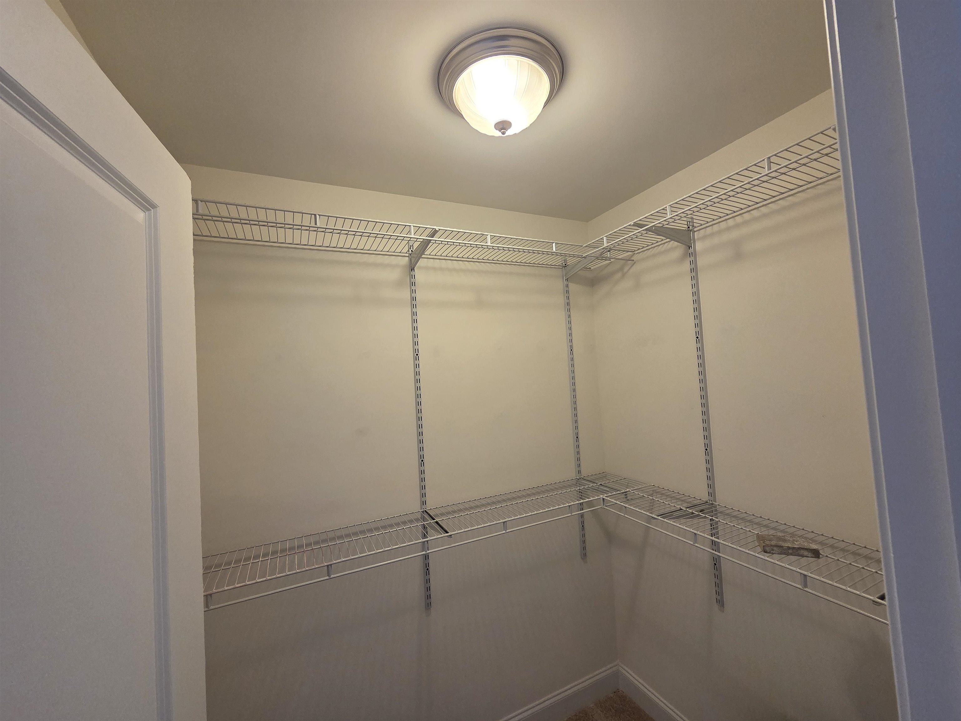 1000 Englemann Oak Dr. Property Photo 47