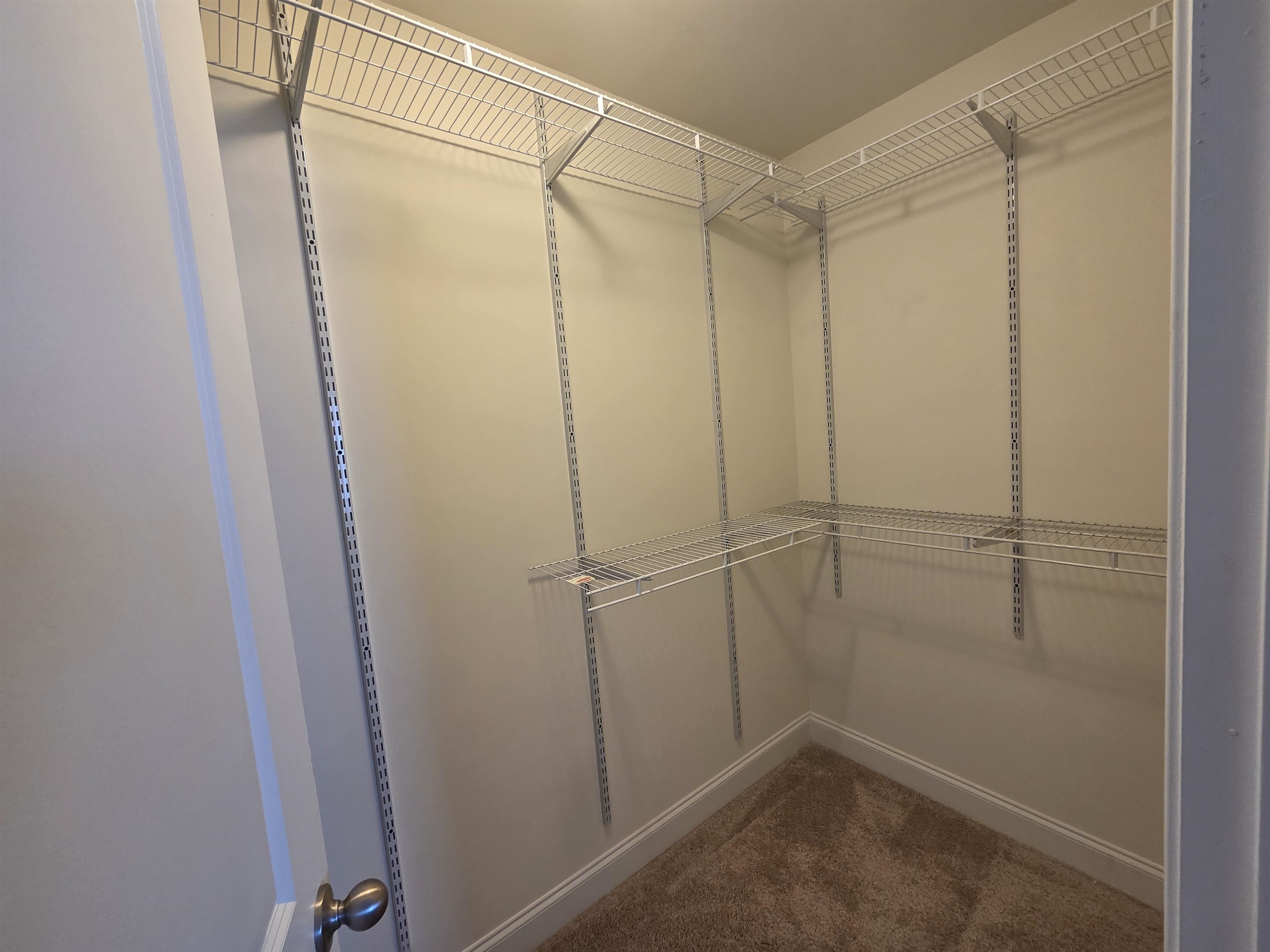 1000 Englemann Oak Dr. Property Photo 49
