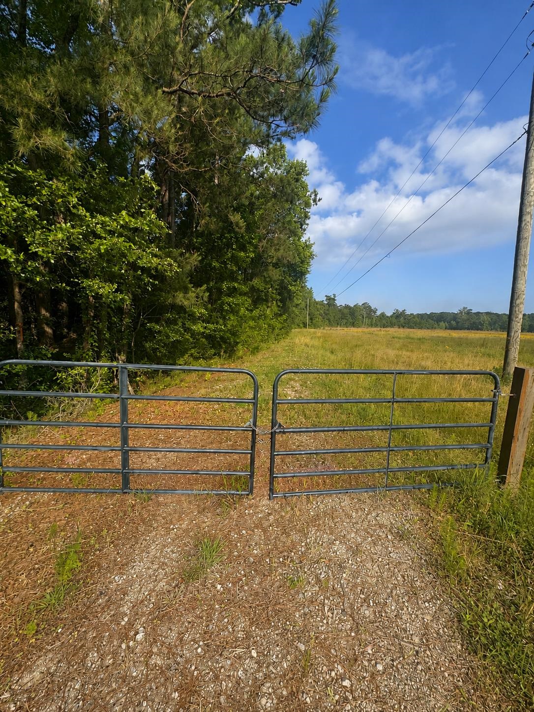 Tbd Old Buck Creek Rd. Property Photo 1