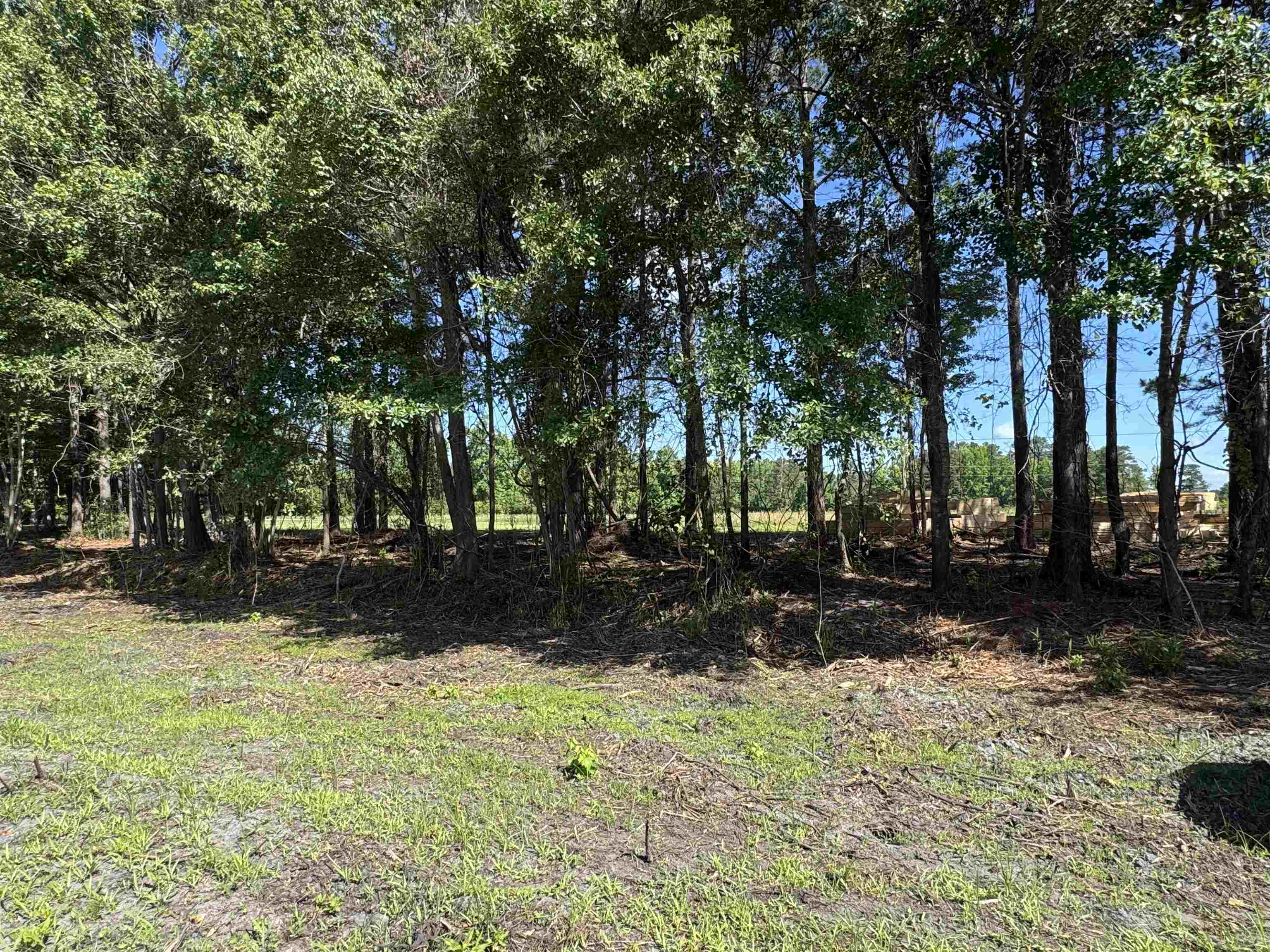 1876 Horry Rd. Property Photo 2