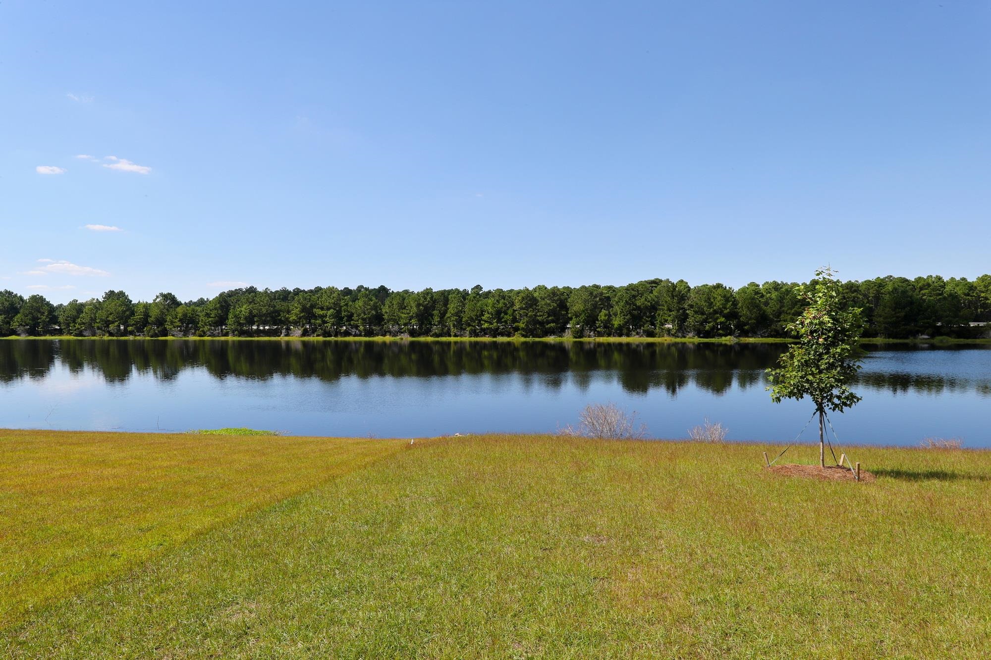 6148 Zoe Way Property Photo 75