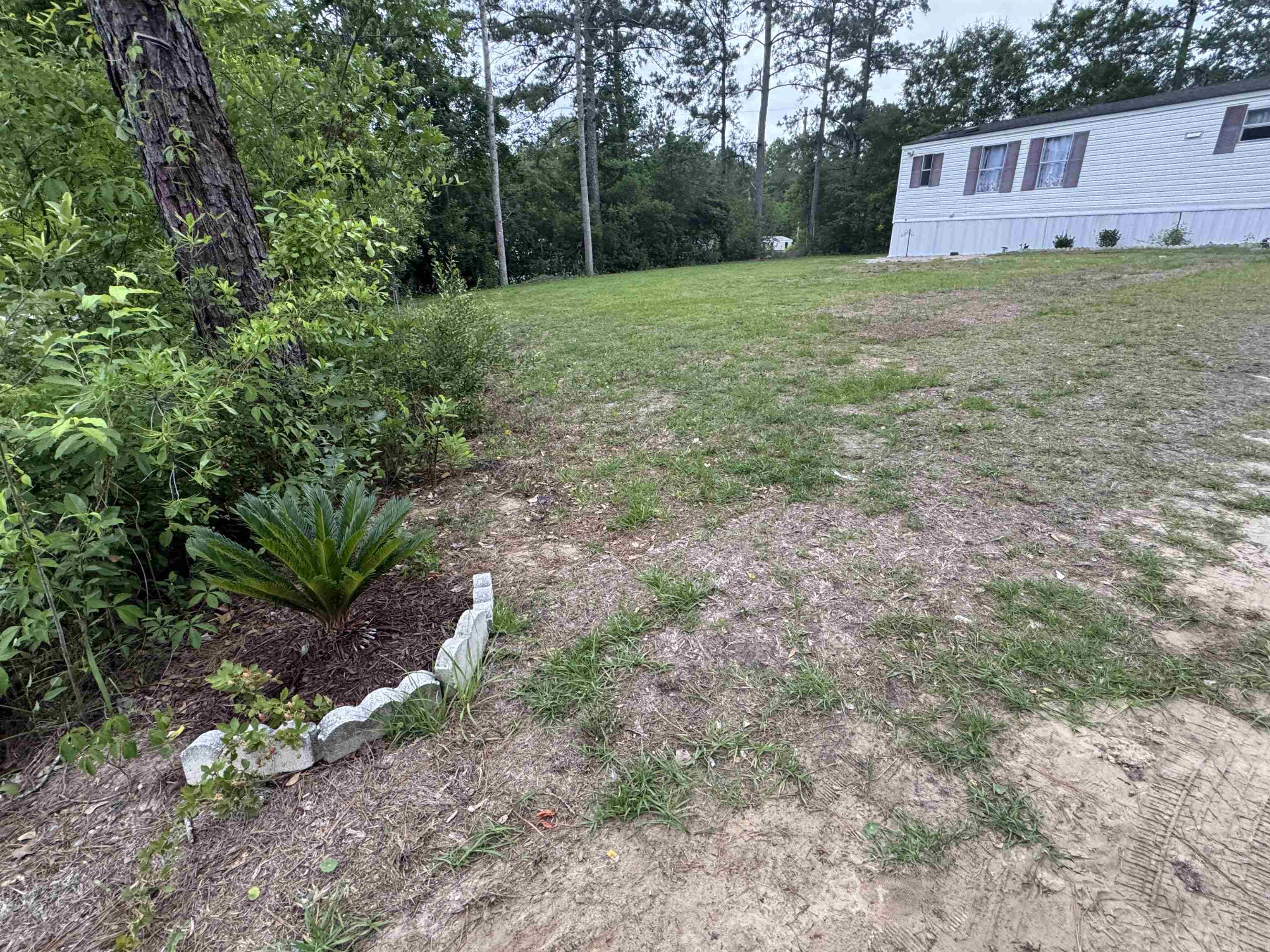 1194 Rainbow Dr. Property Photo 9
