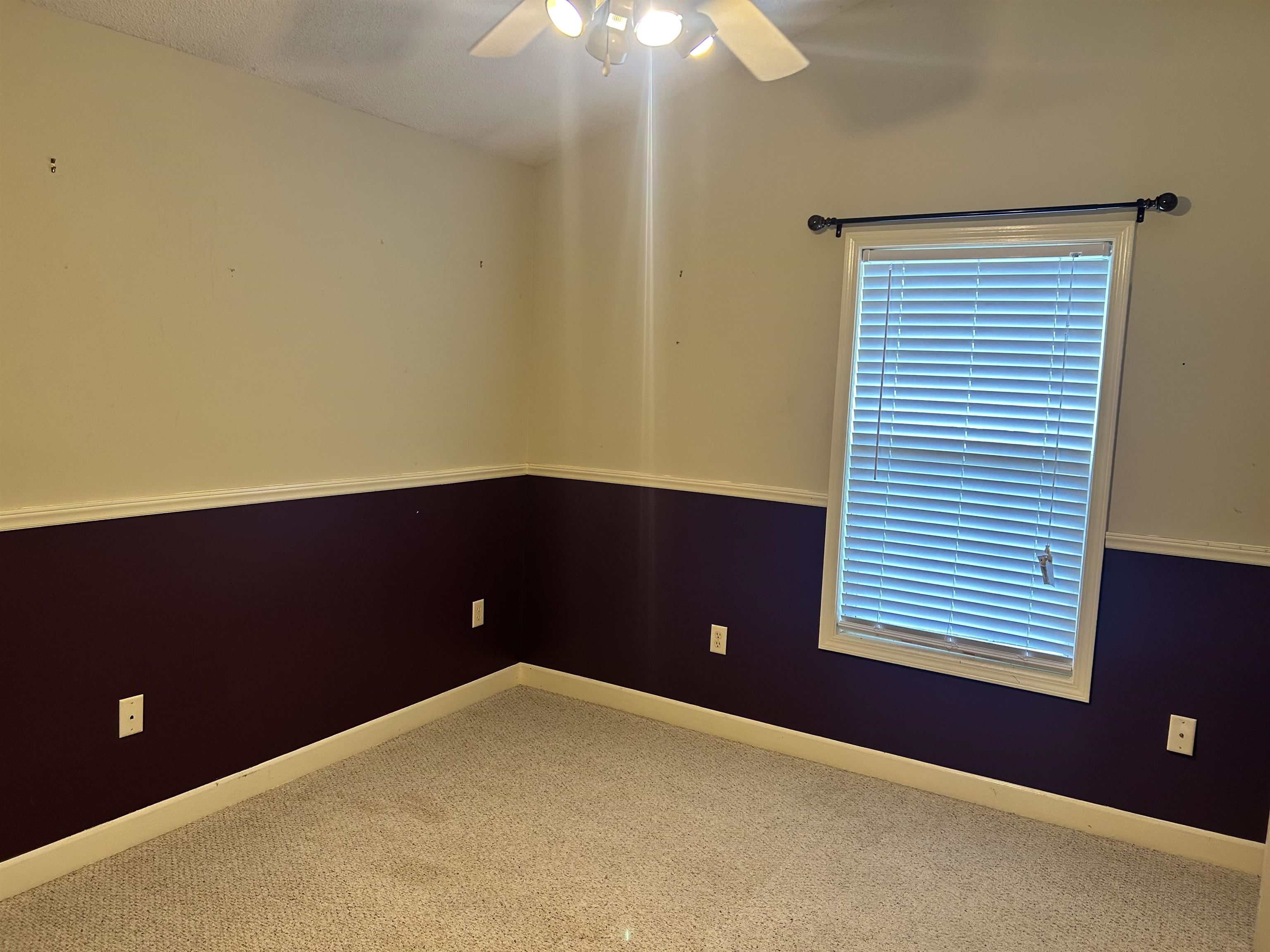 136 Ashworth Dr. Property Photo 13