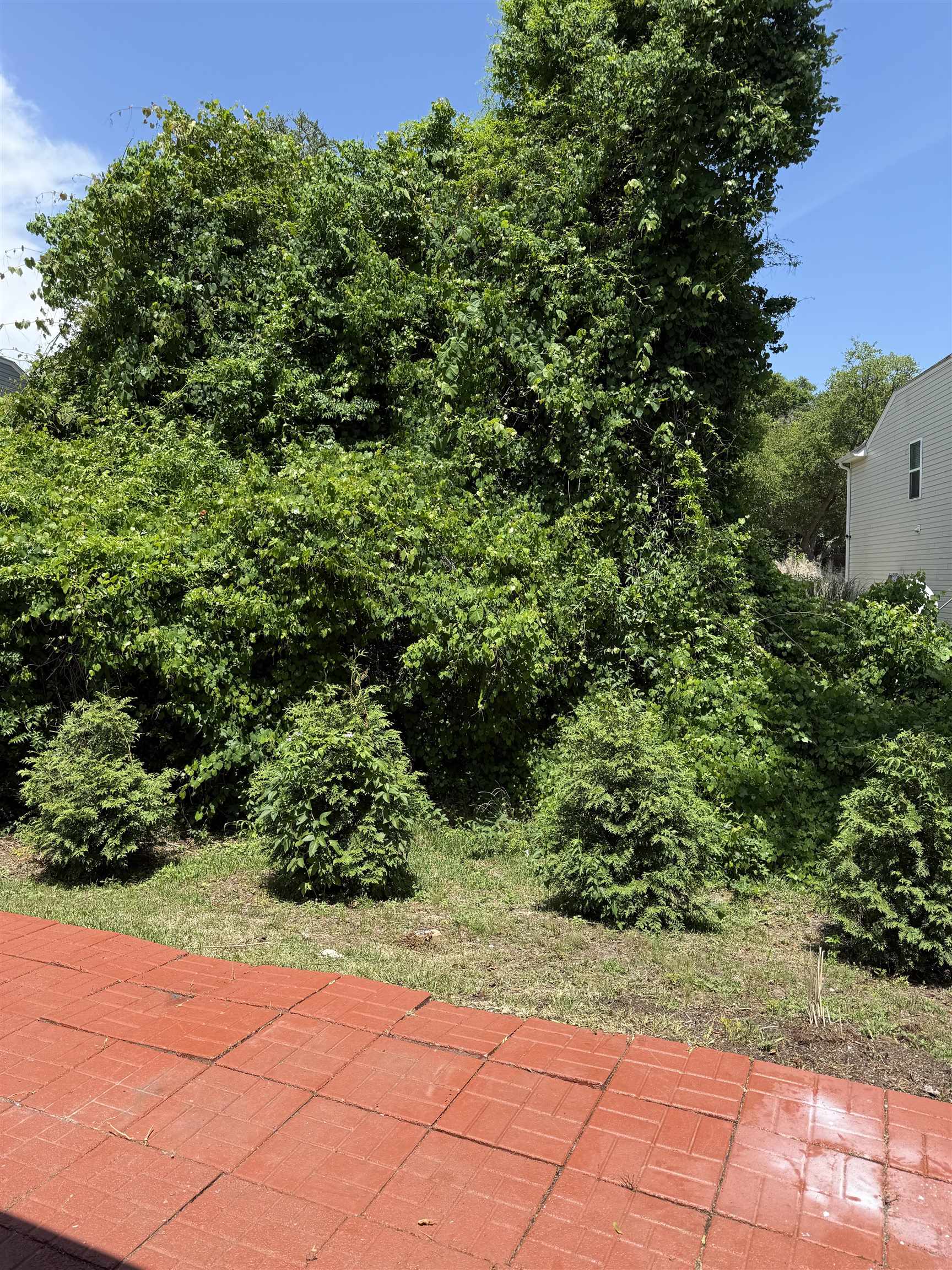1444a Bessant Ave. Property Photo 4