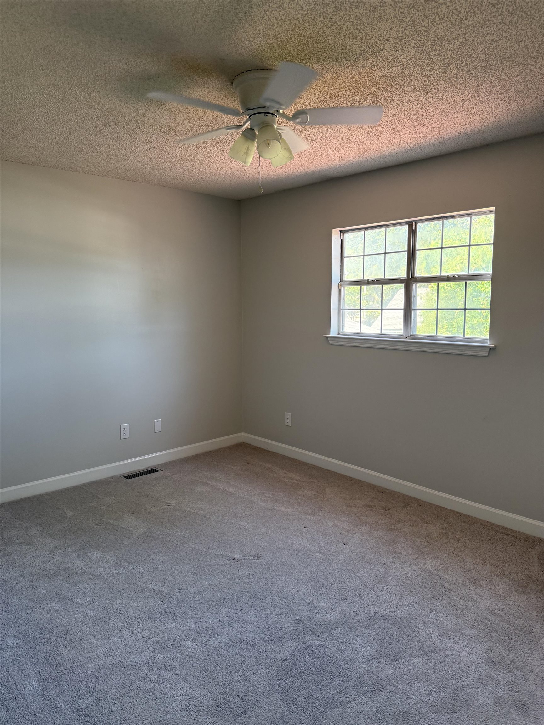 1444a Bessant Ave. Property Photo 19