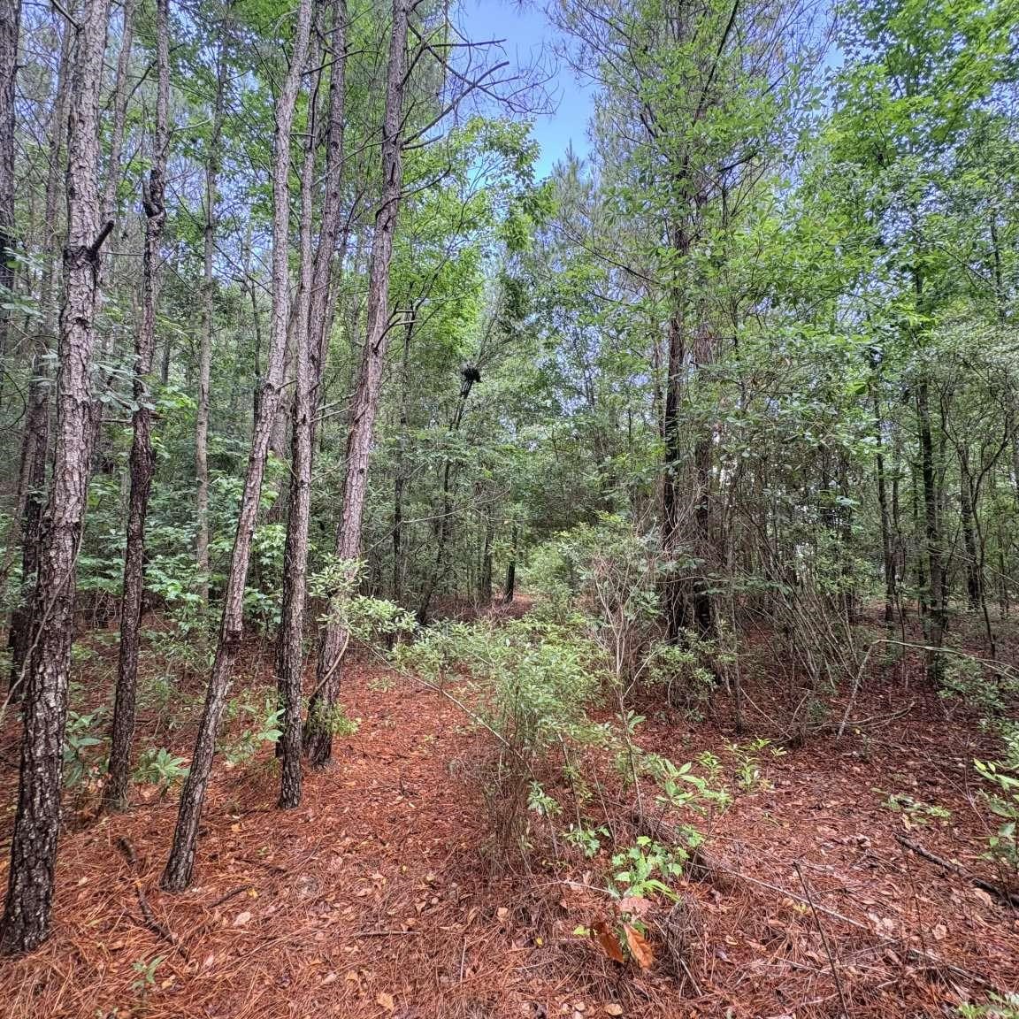 1660 Nathan Dr. Property Photo 10