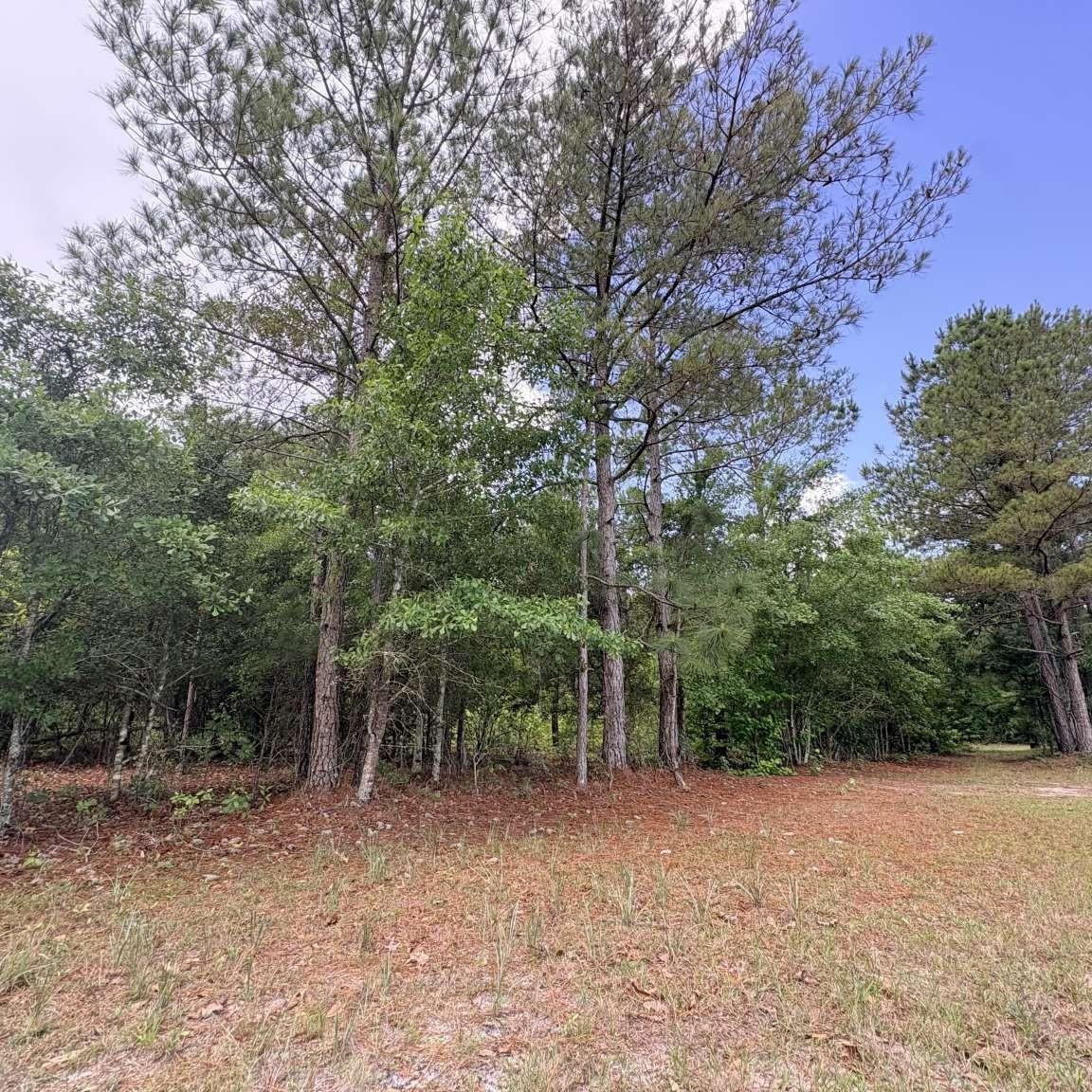 1660 Nathan Dr. Property Photo 48