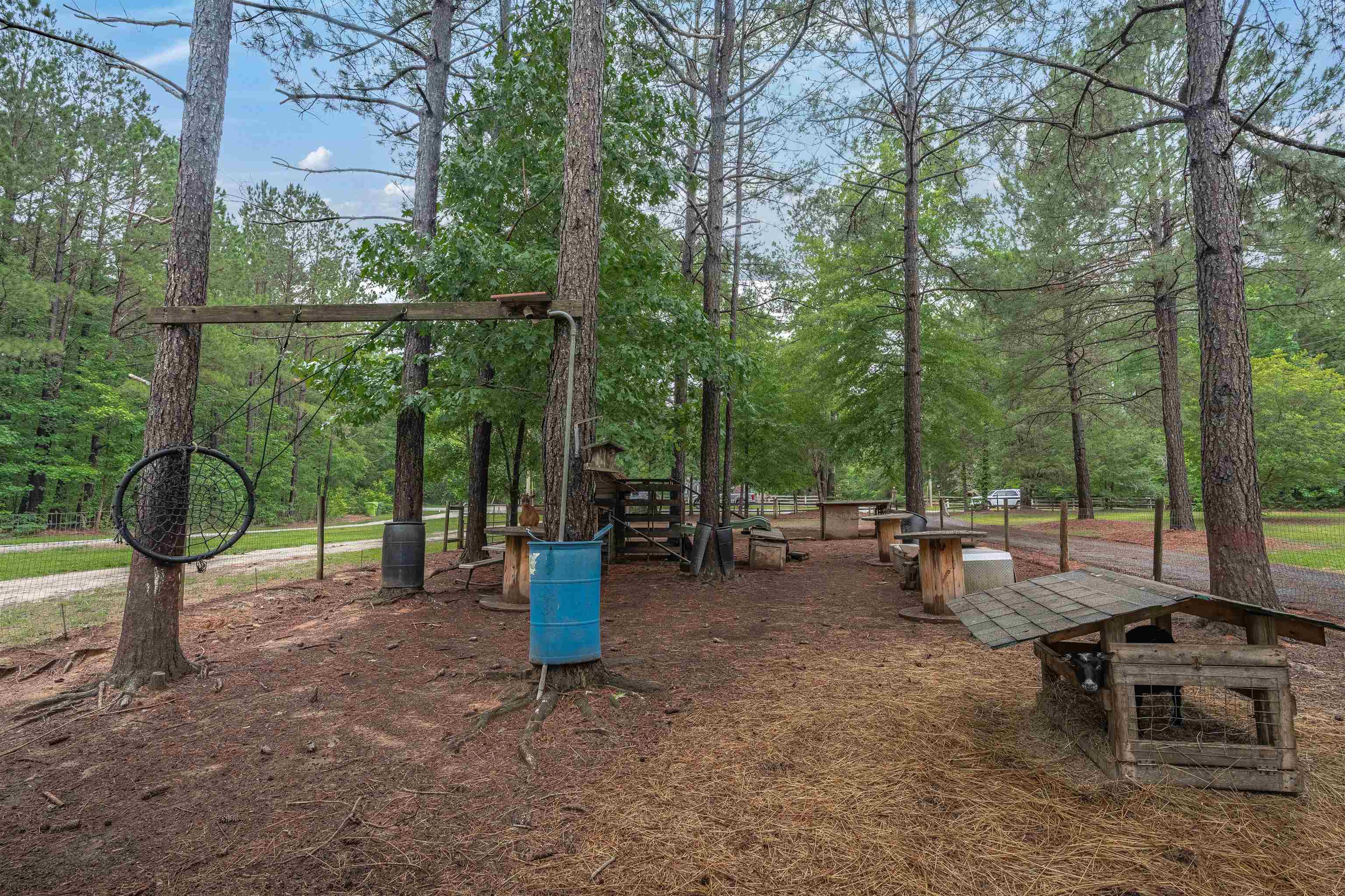 565 Portia Rd Property Photo 37