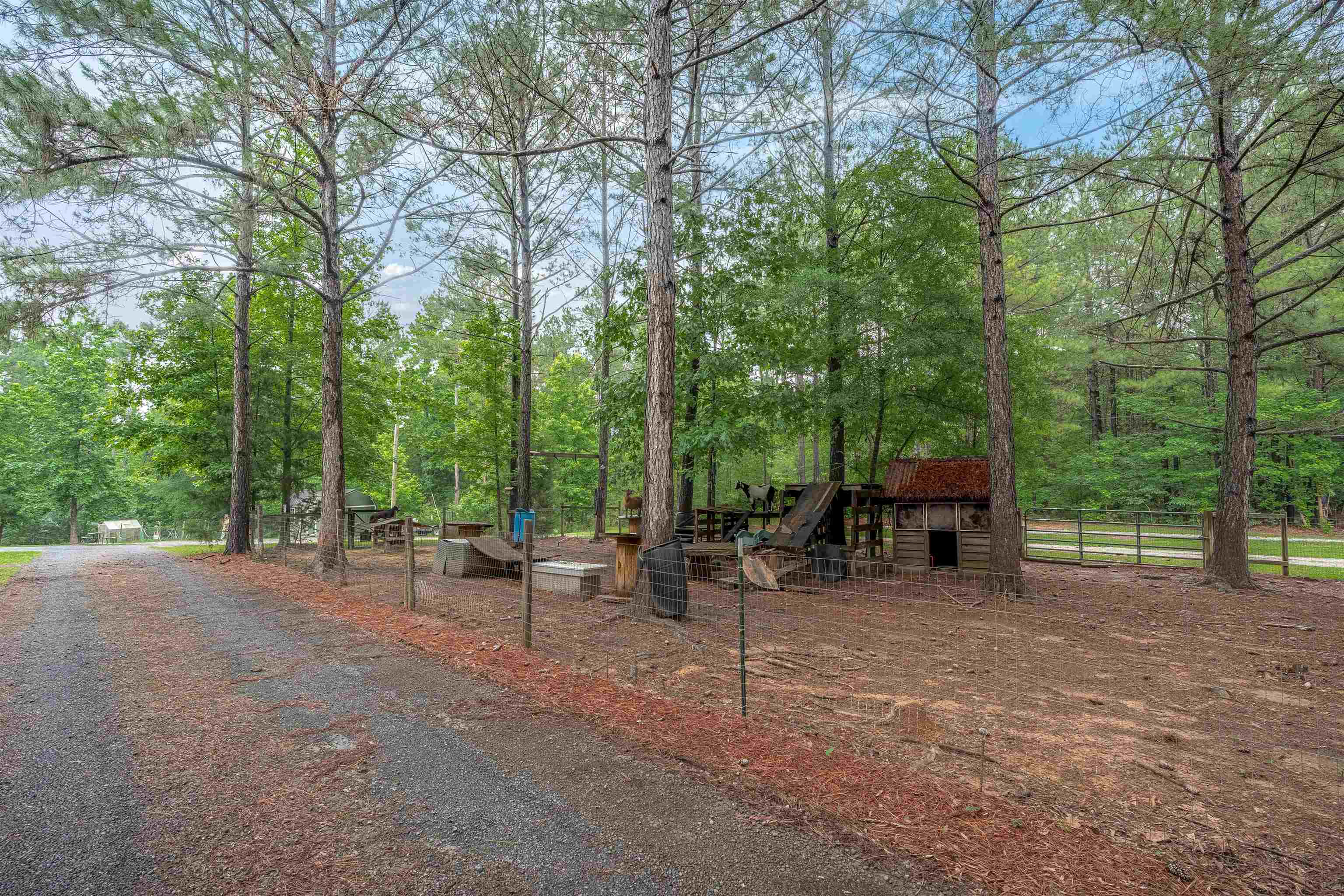 565 Portia Rd Property Photo 42
