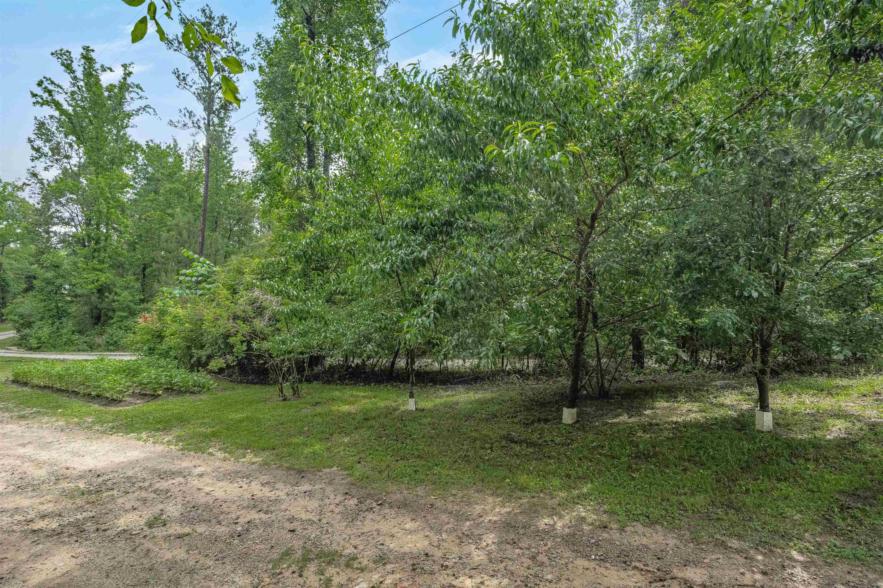 565 Portia Rd Property Photo 46