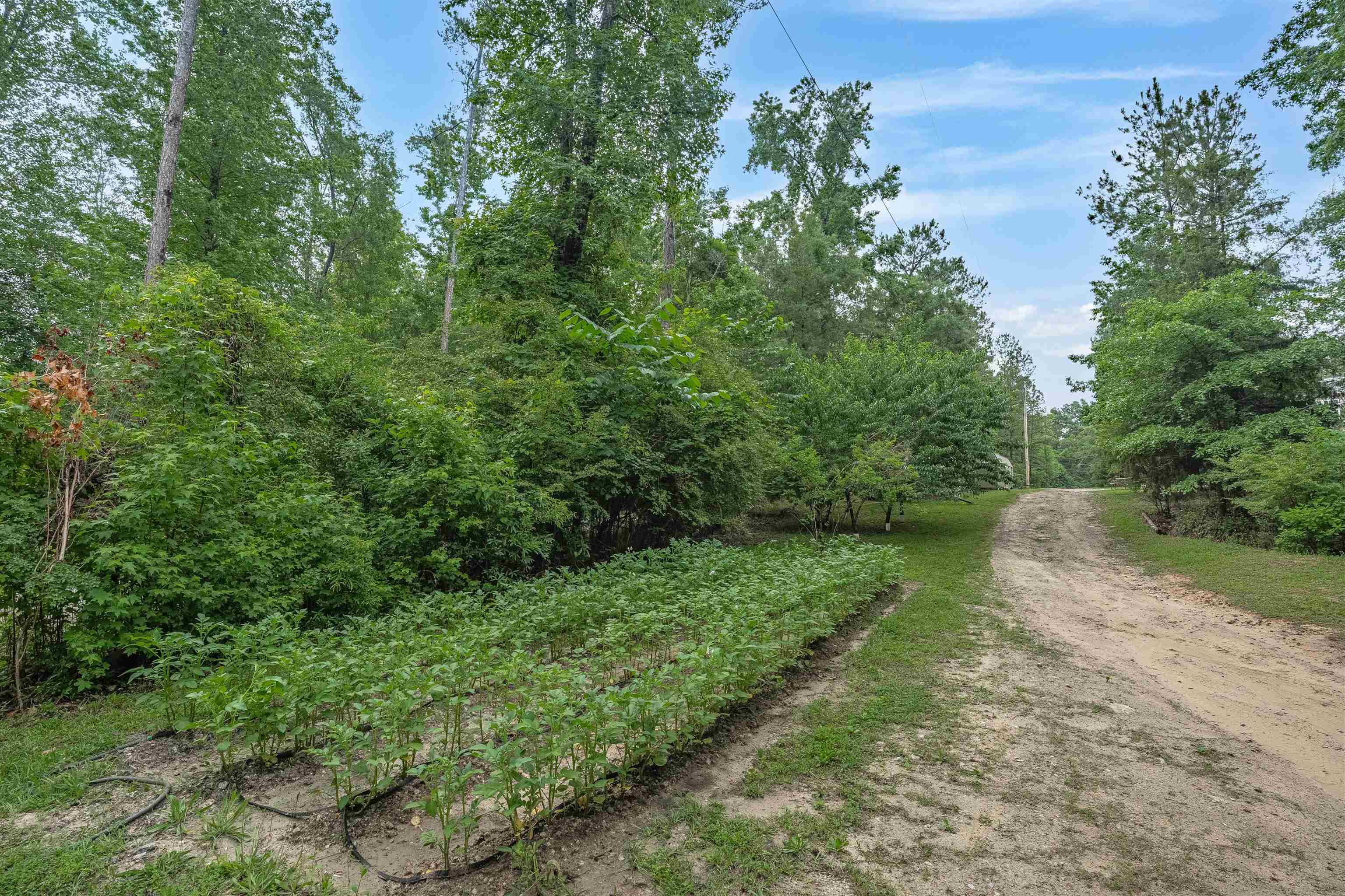 565 Portia Rd Property Photo 47