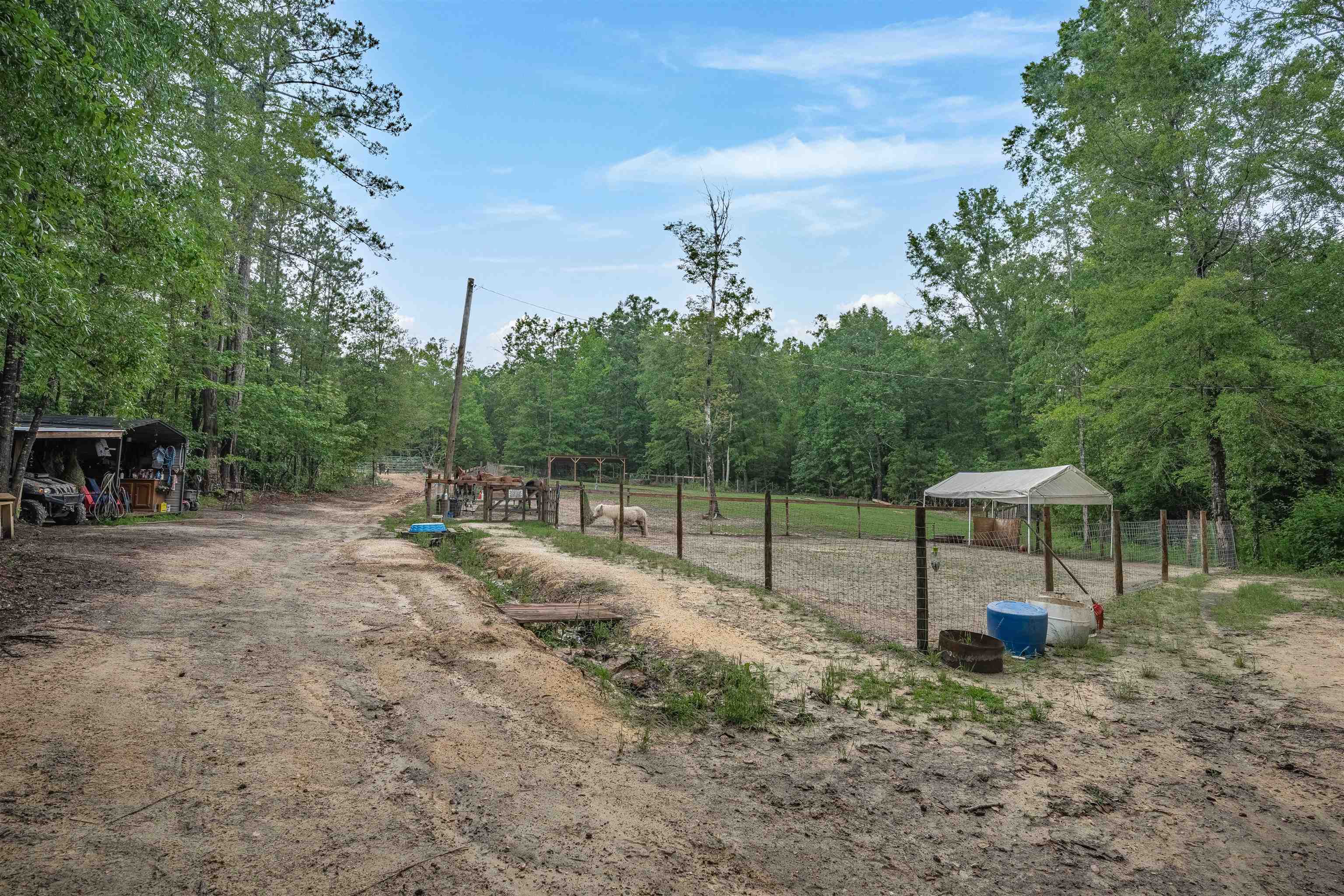 565 Portia Rd Property Photo 48