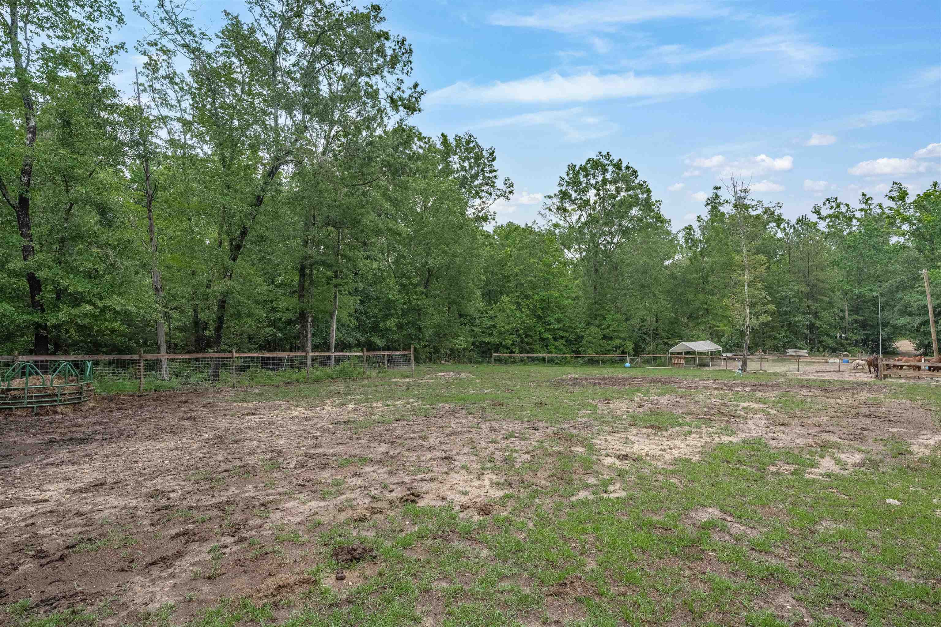 565 Portia Rd Property Photo 53