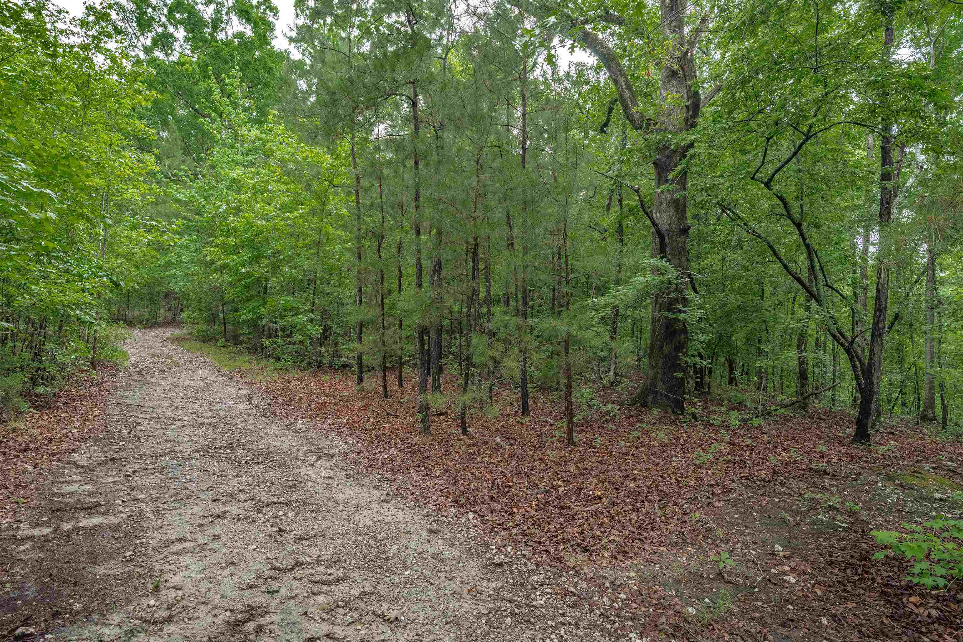 565 Portia Rd Property Photo 55