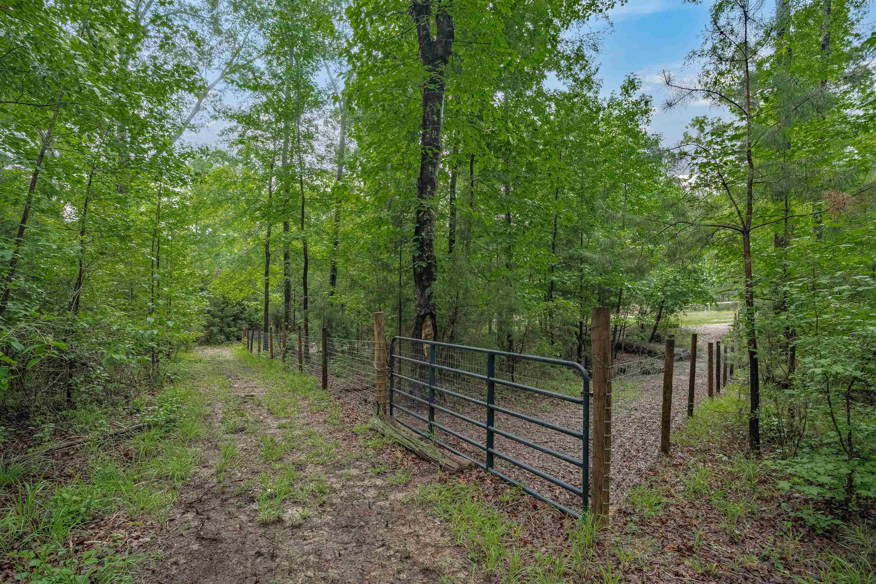 565 Portia Rd Property Photo 59