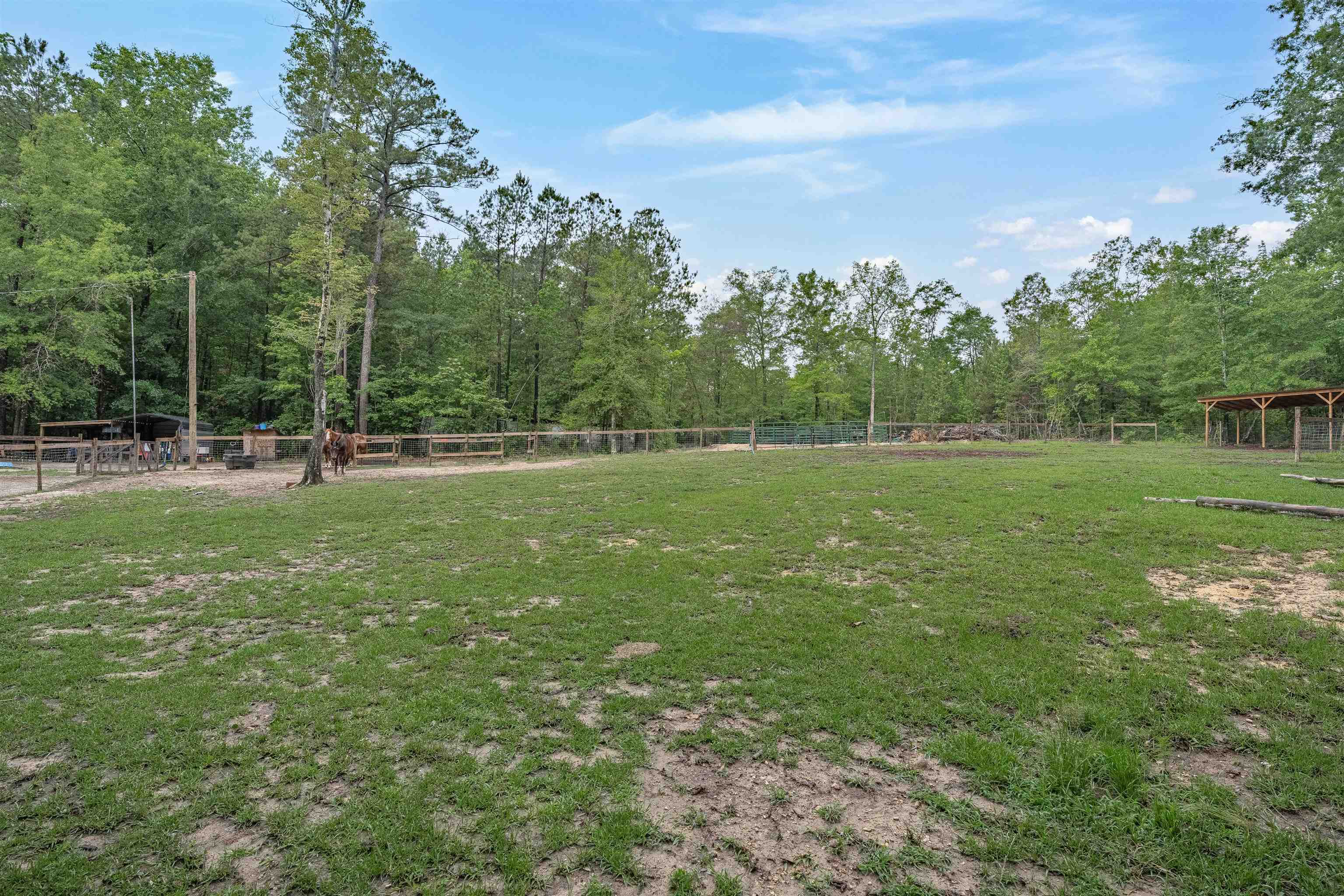 565 Portia Rd Property Photo 60