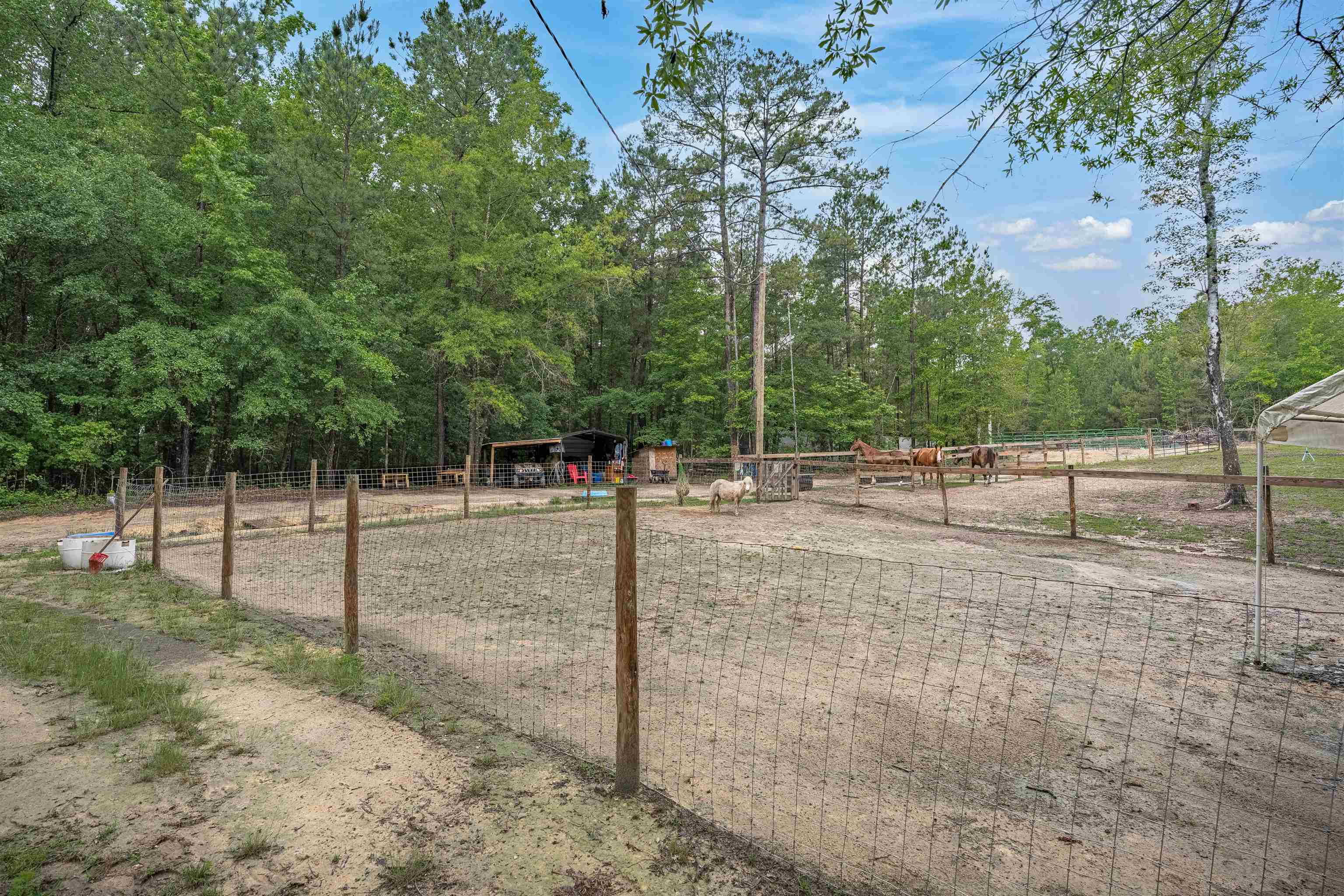 565 Portia Rd Property Photo 61