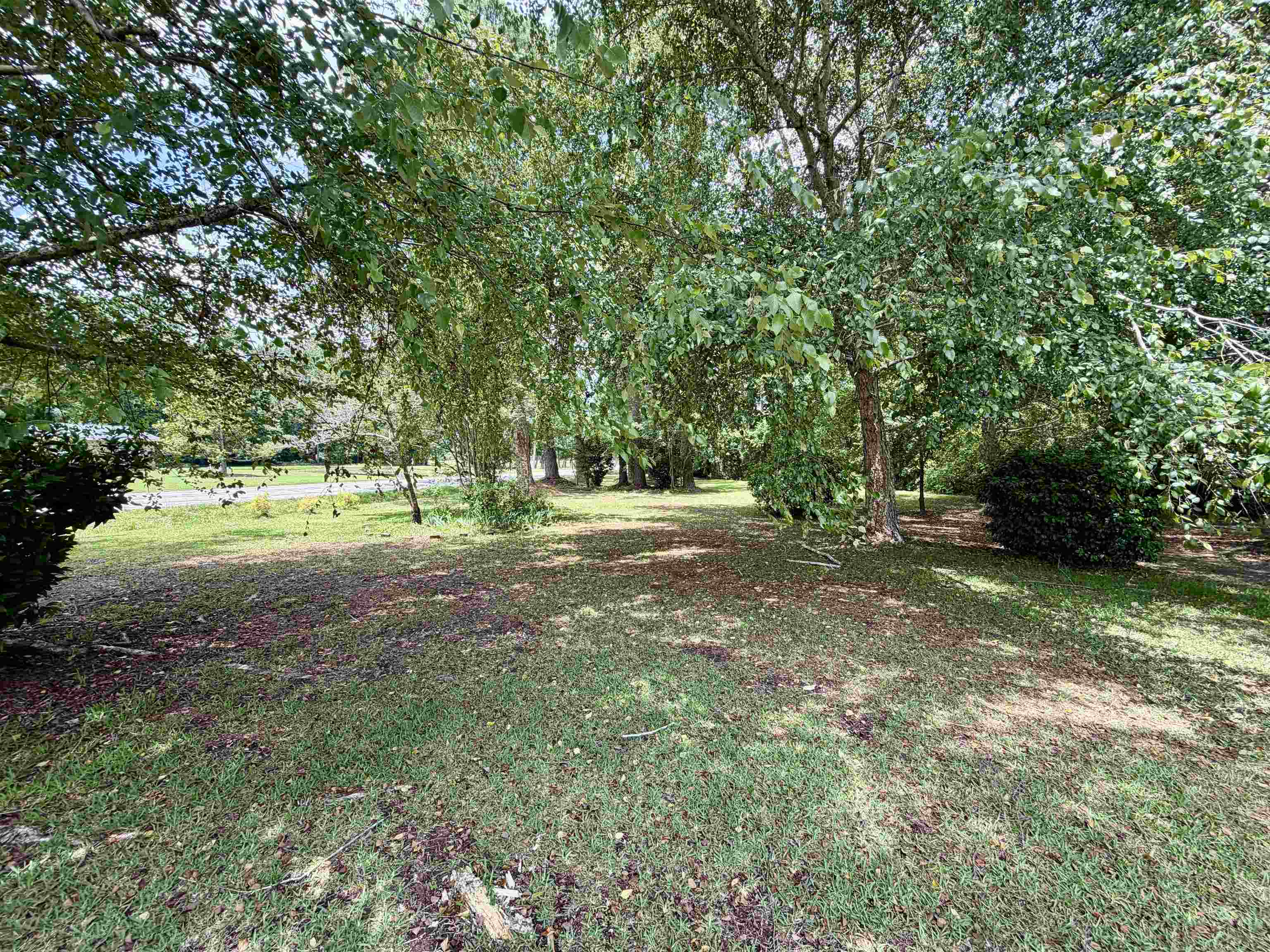 3240 Mount Olive Rd. Property Photo 29