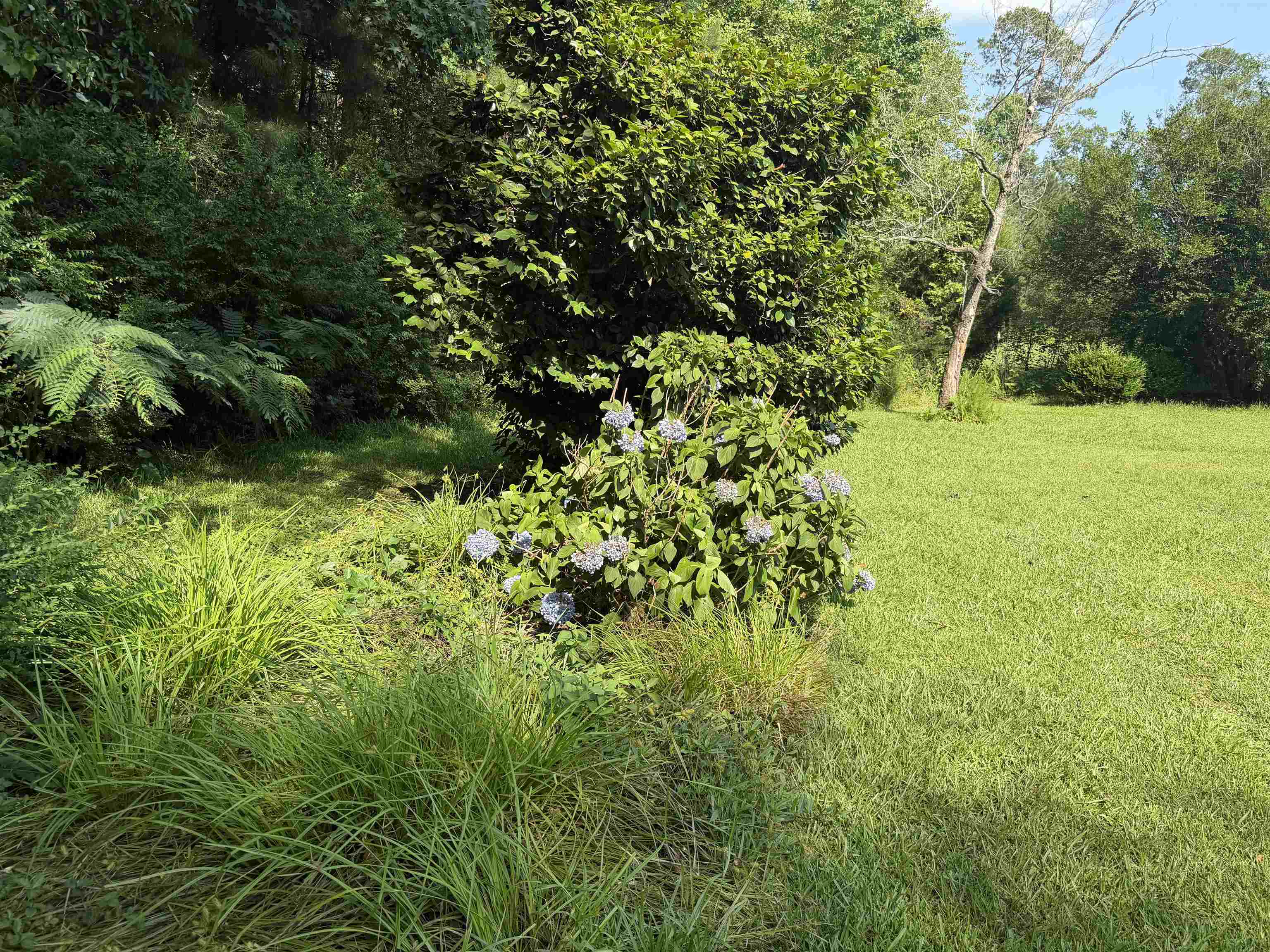 3240 Mount Olive Rd. Property Photo 36