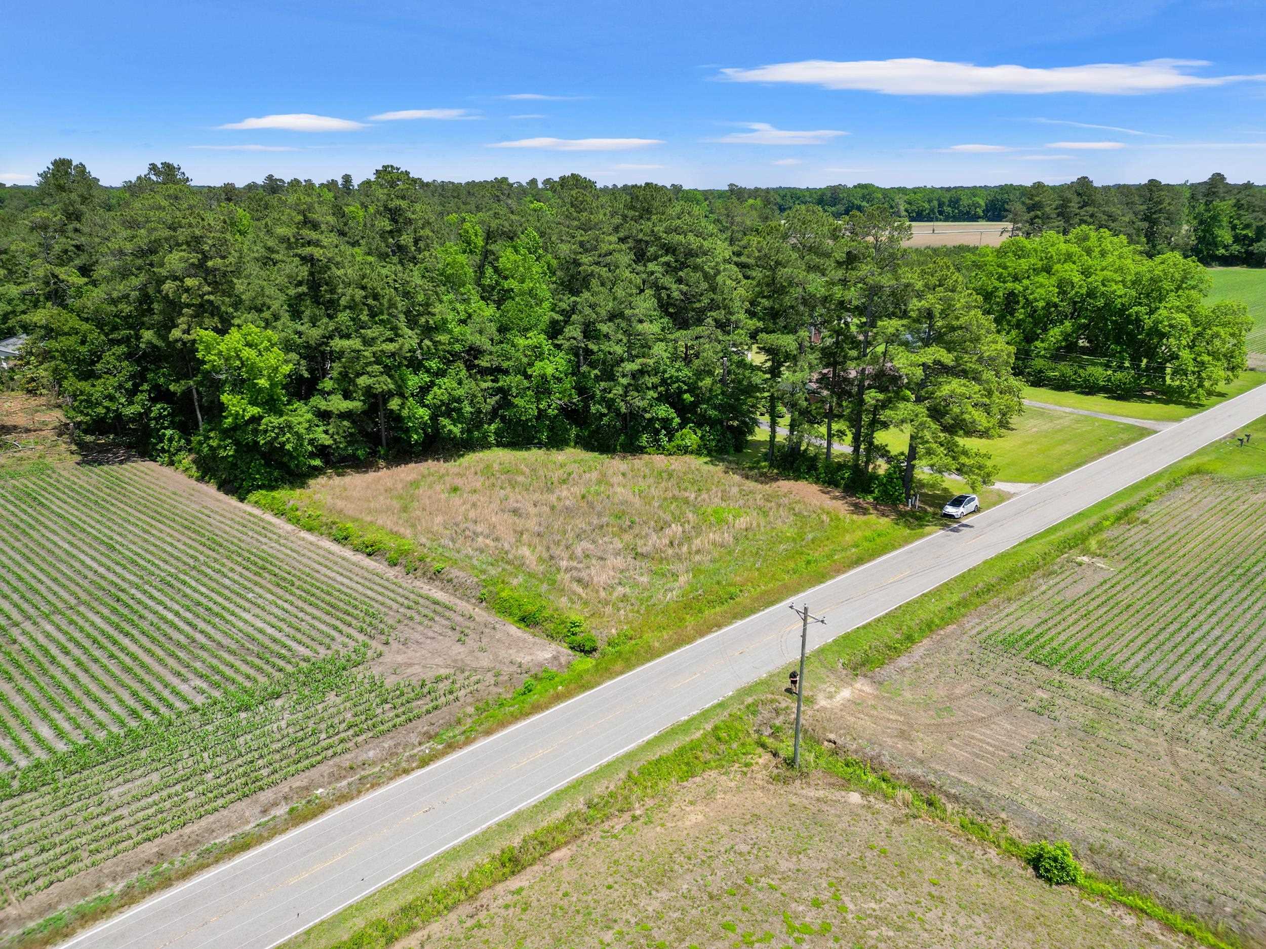 3895 Highway 430 Property Photo 36
