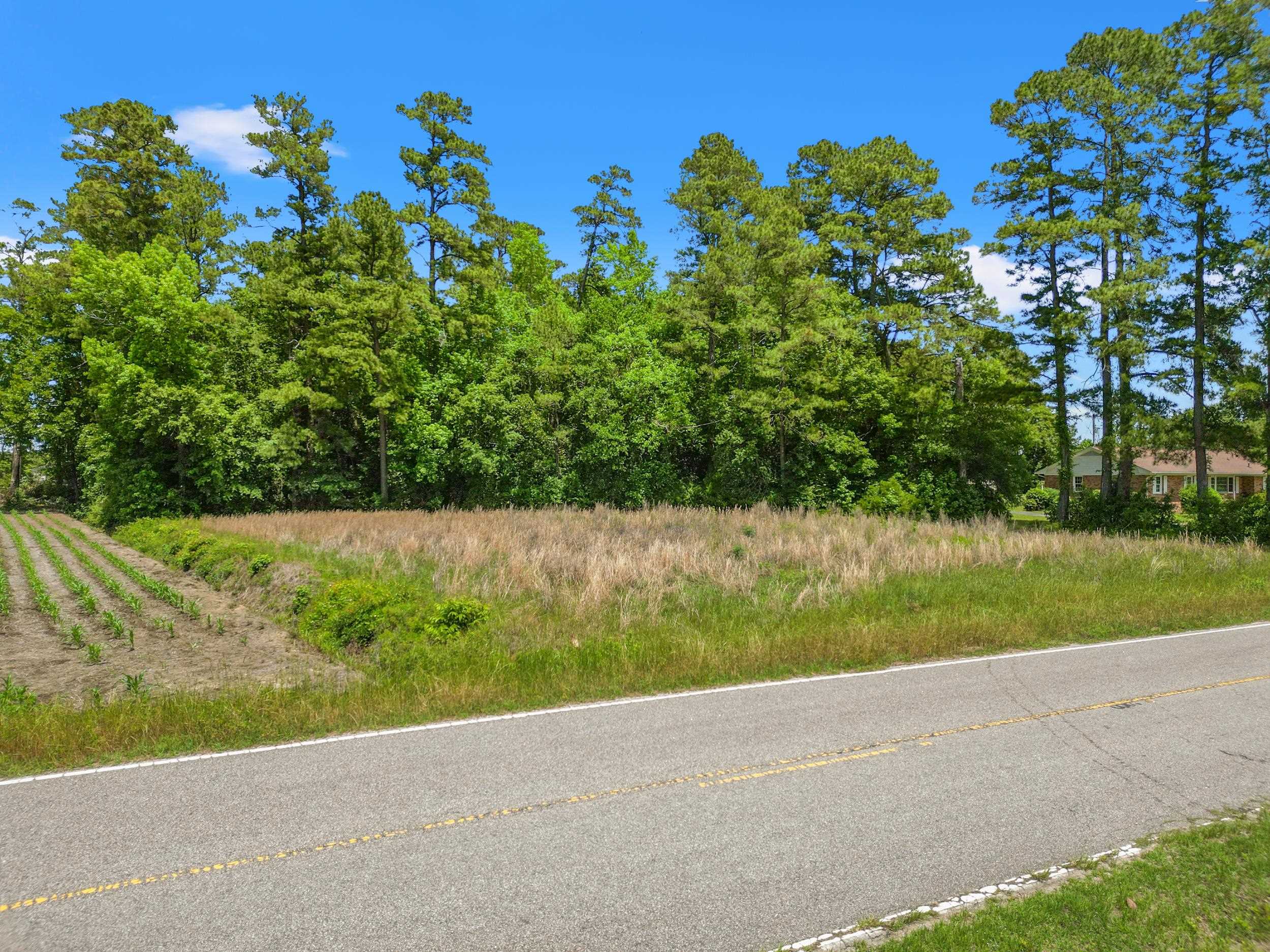 3895 Highway 430 Property Photo 37
