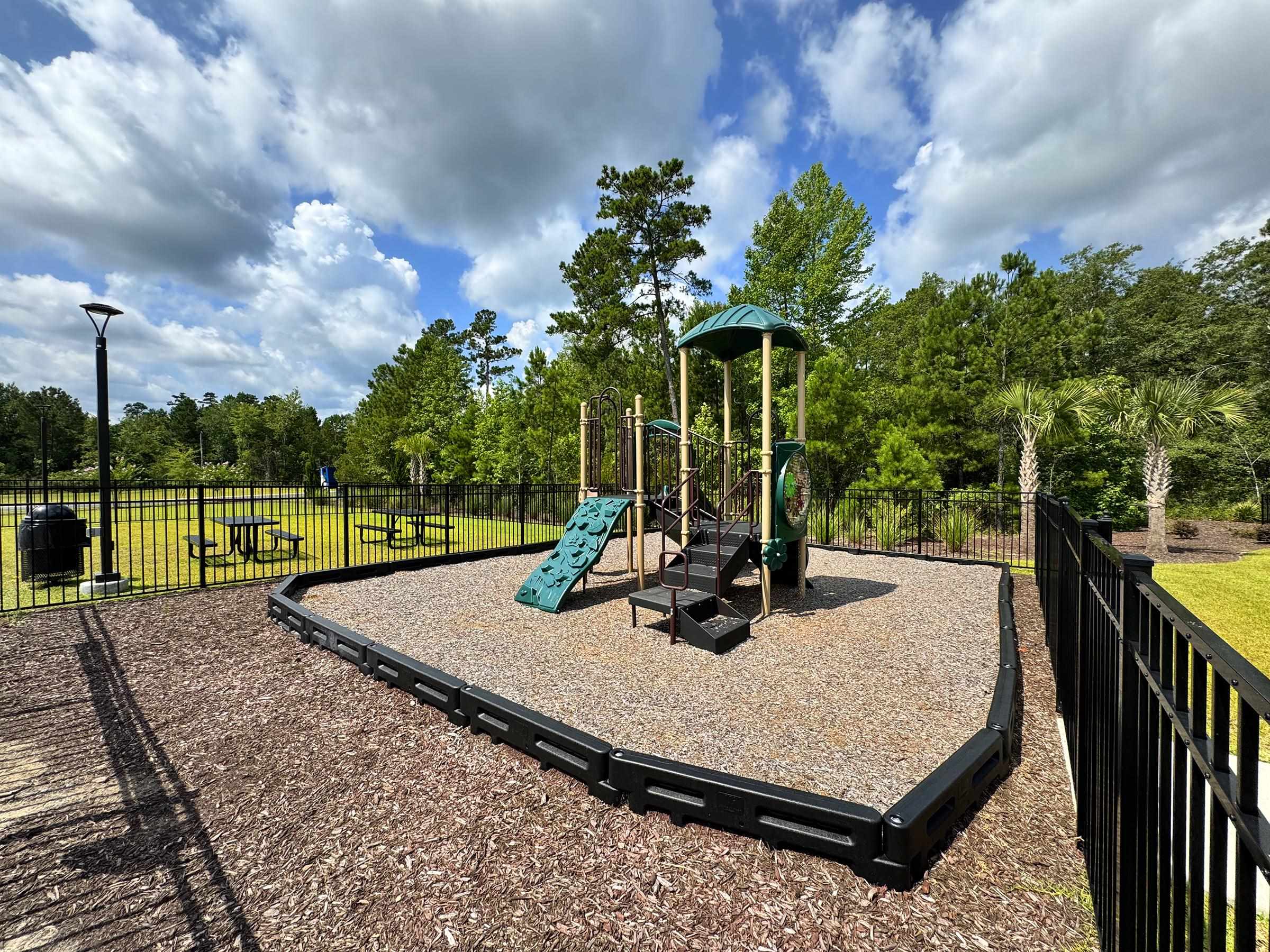171 Warner Crossing Way Property Photo 43