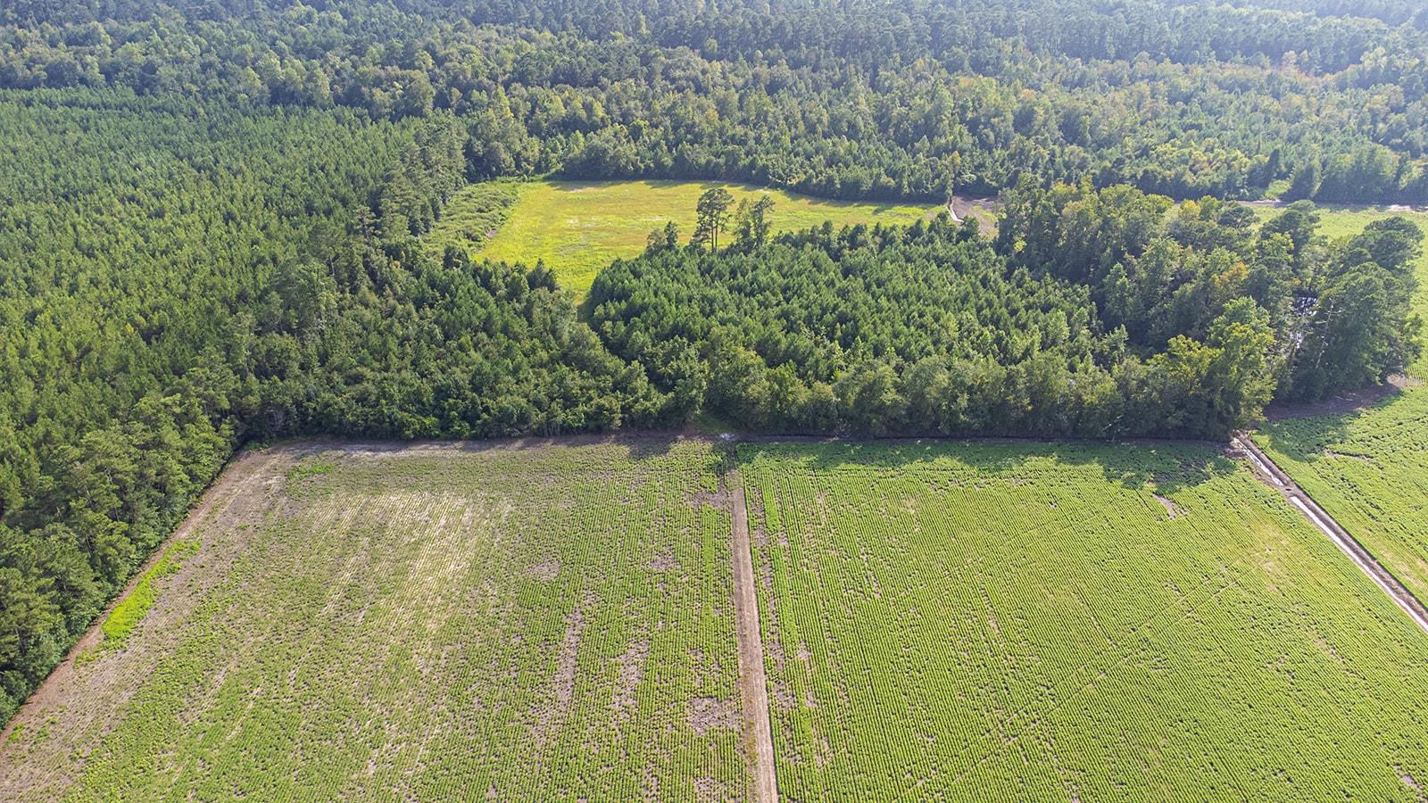 Tbd 37 Acres Highway 9 W Property Photo 6