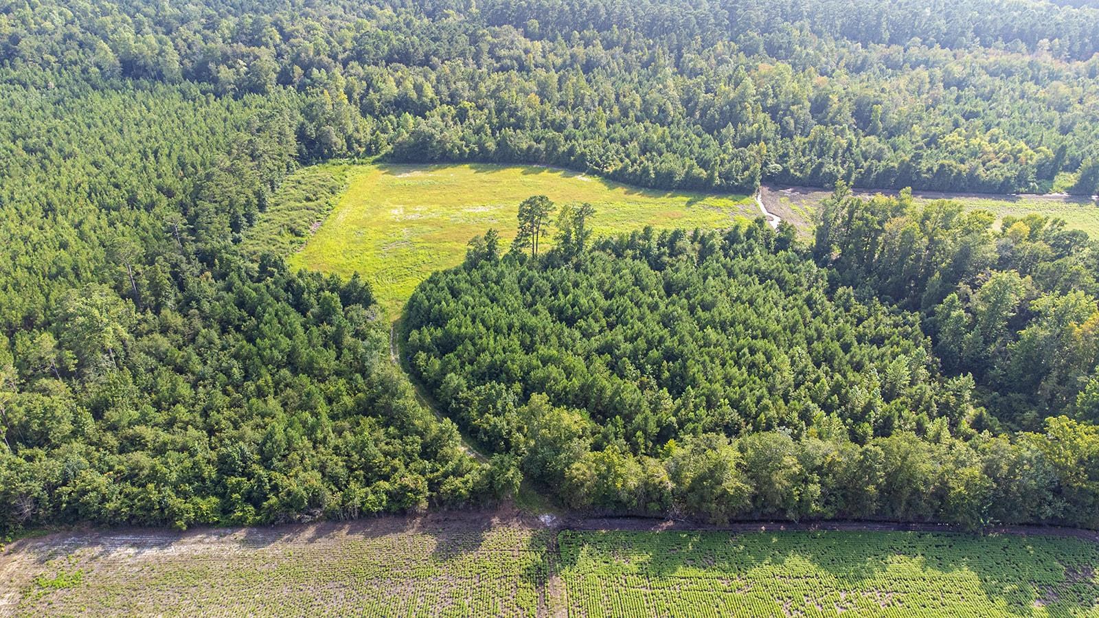 Tbd 37 Acres Highway 9 W Property Photo 7
