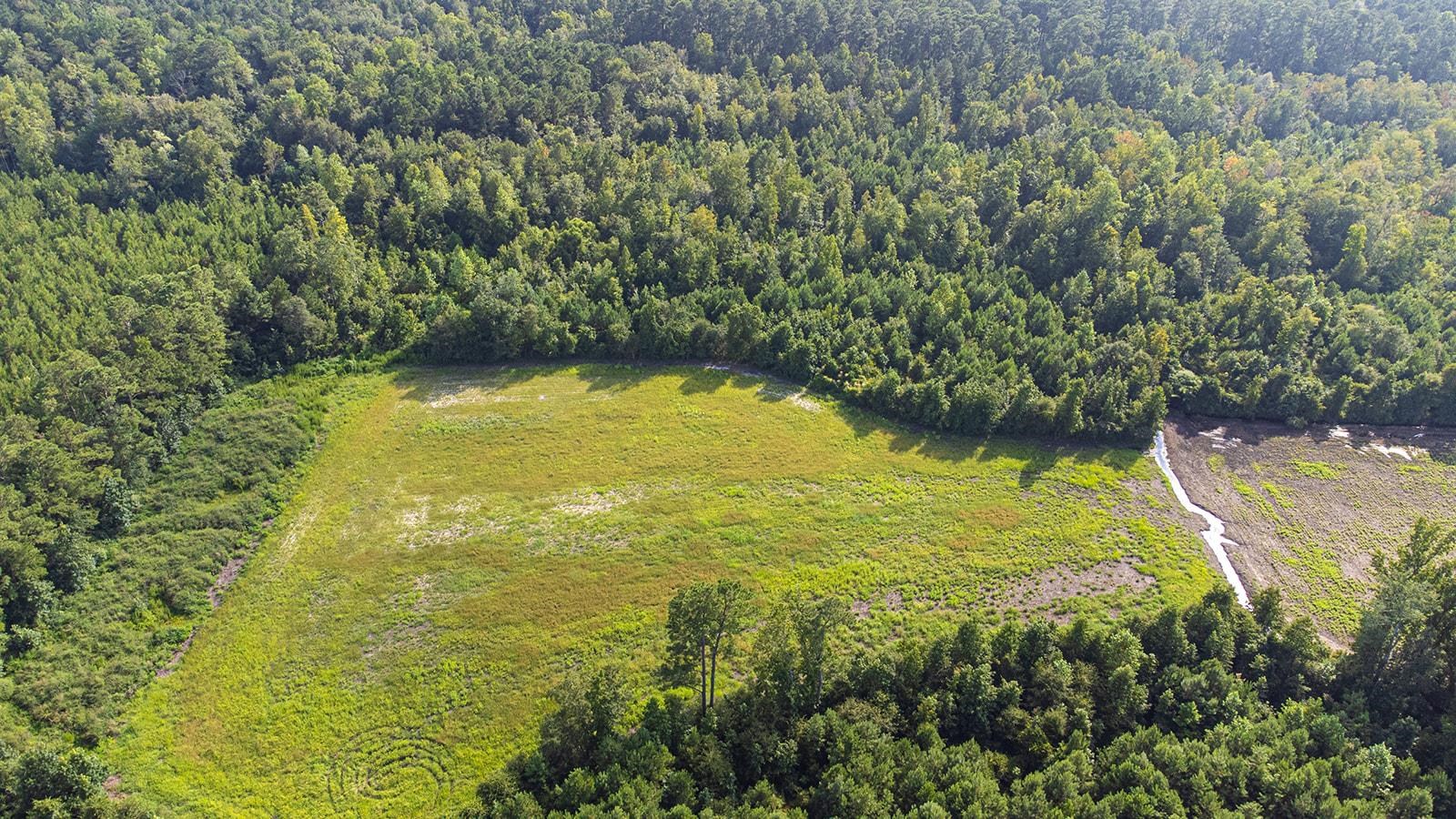 Tbd 37 Acres Highway 9 W Property Photo 8