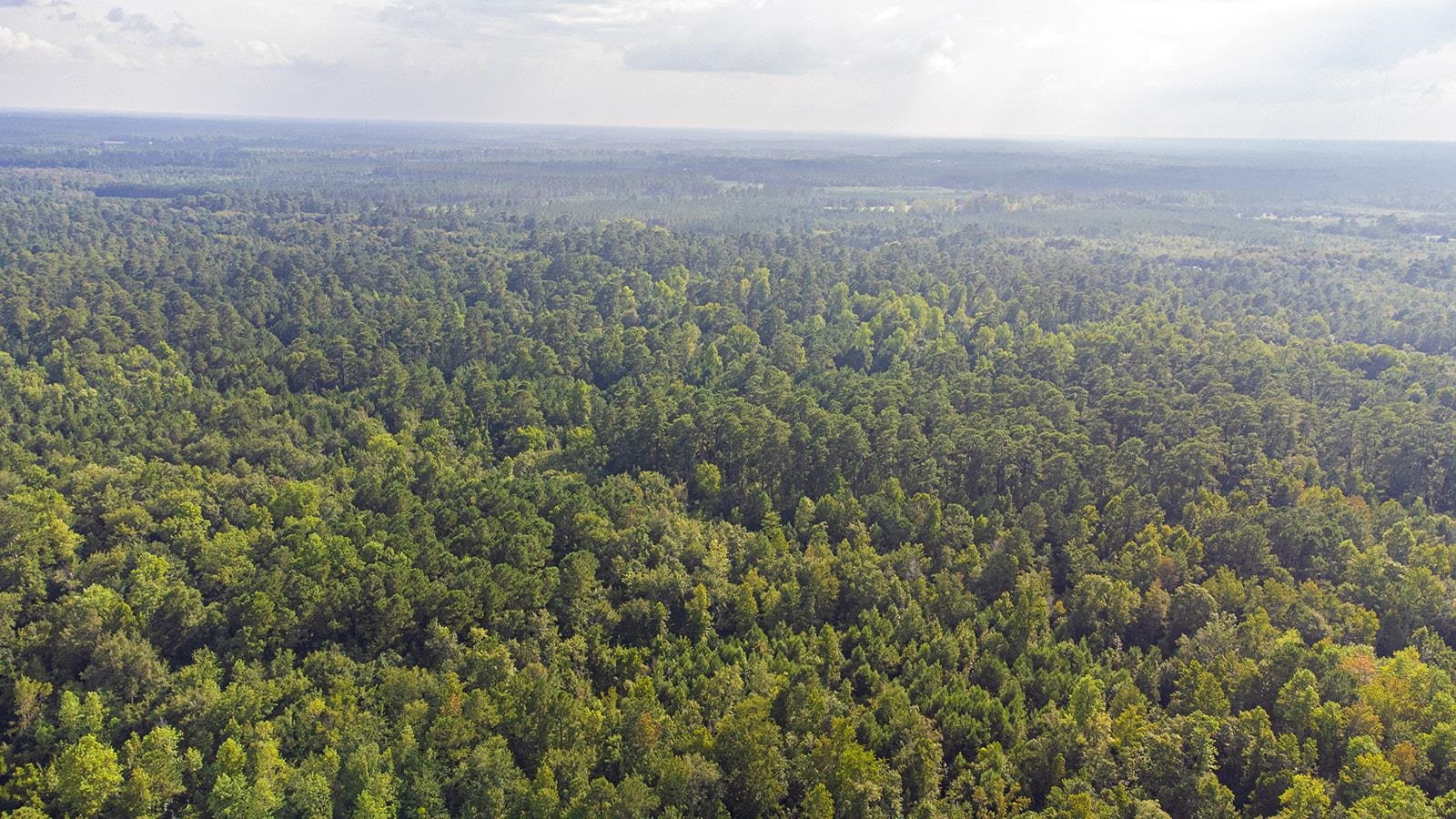 Tbd 37 Acres Highway 9 W Property Photo 9