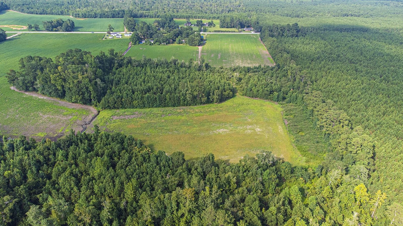 Tbd 37 Acres Highway 9 W Property Photo 10