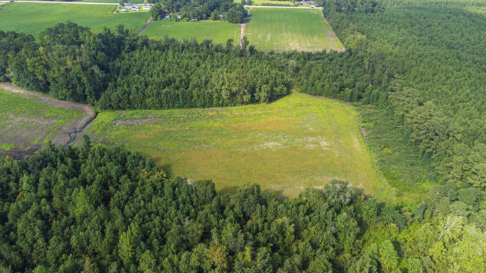 Tbd 37 Acres Highway 9 W Property Photo 11