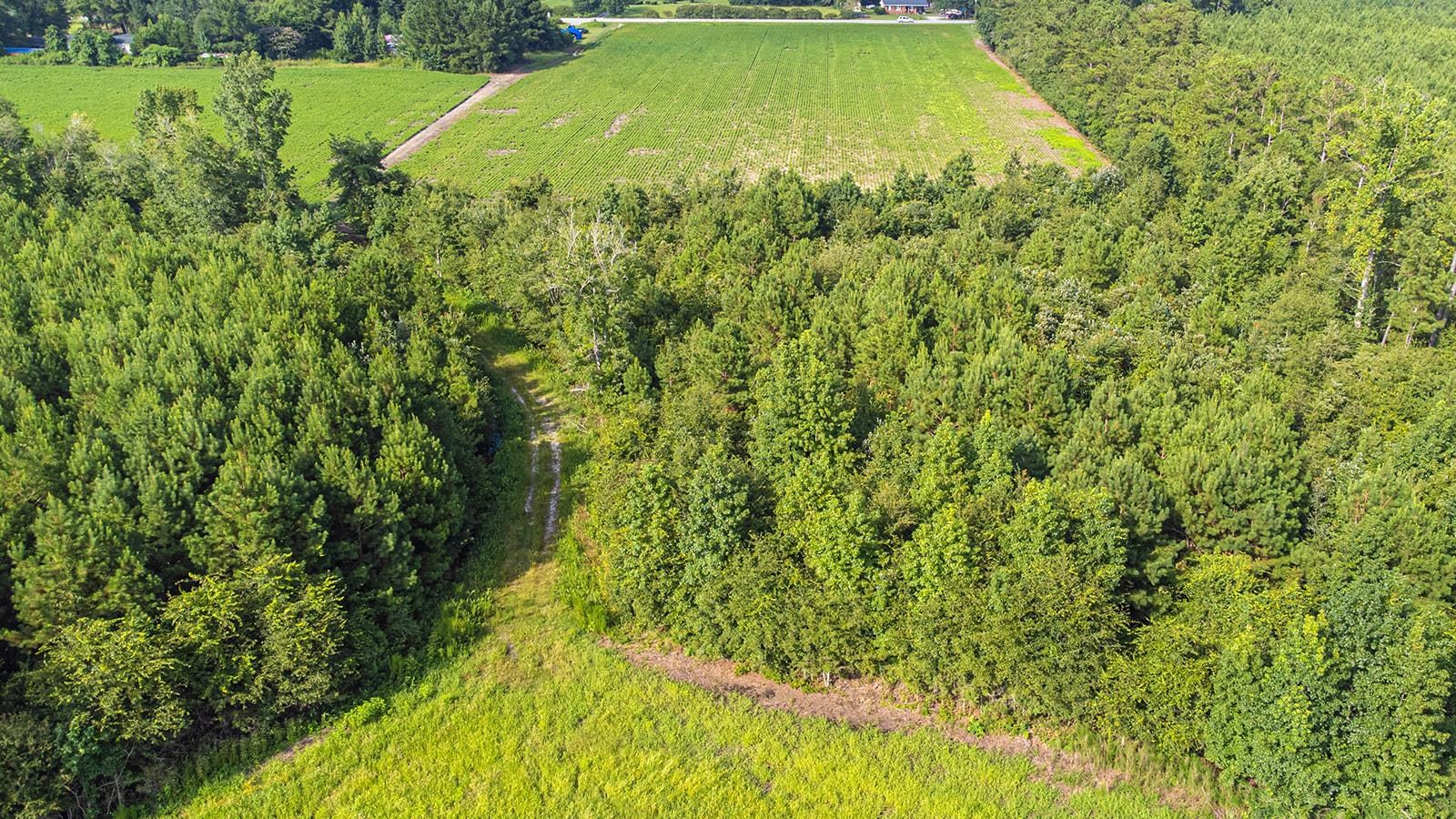Tbd 37 Acres Highway 9 W Property Photo 12