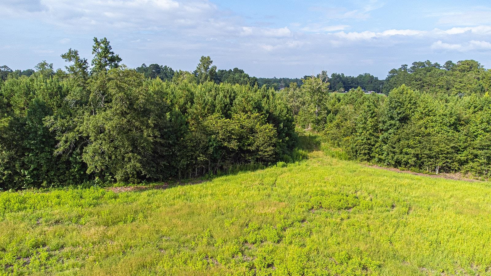 Tbd 37 Acres Highway 9 W Property Photo 13