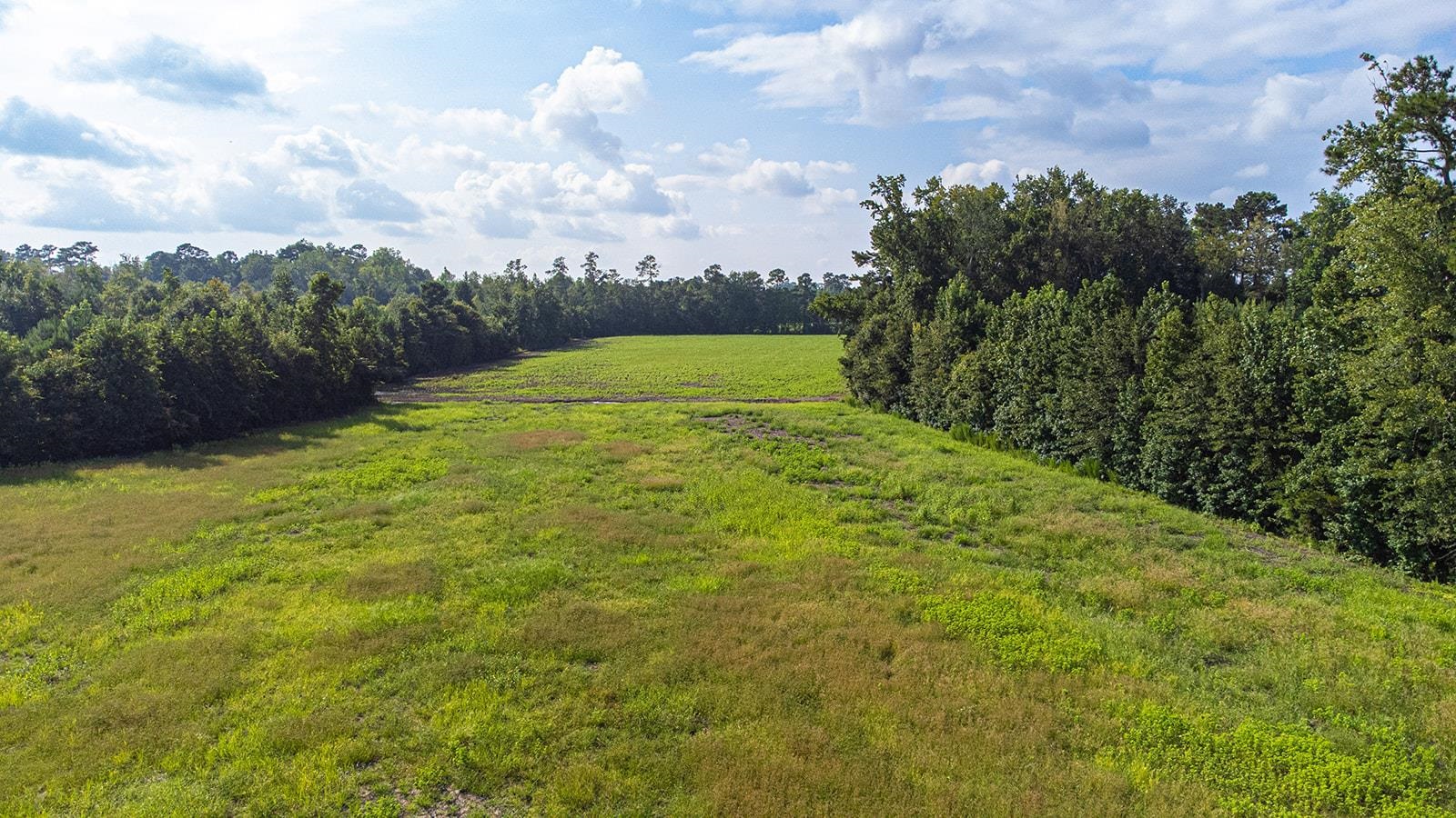 Tbd 37 Acres Highway 9 W Property Photo 14