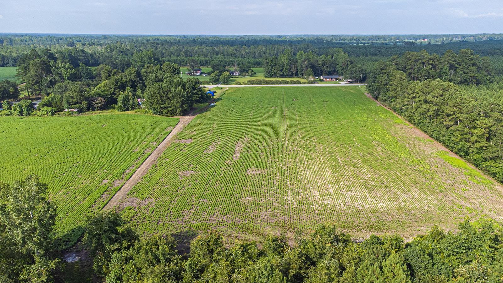 Tbd 37 Acres Highway 9 W Property Photo 15