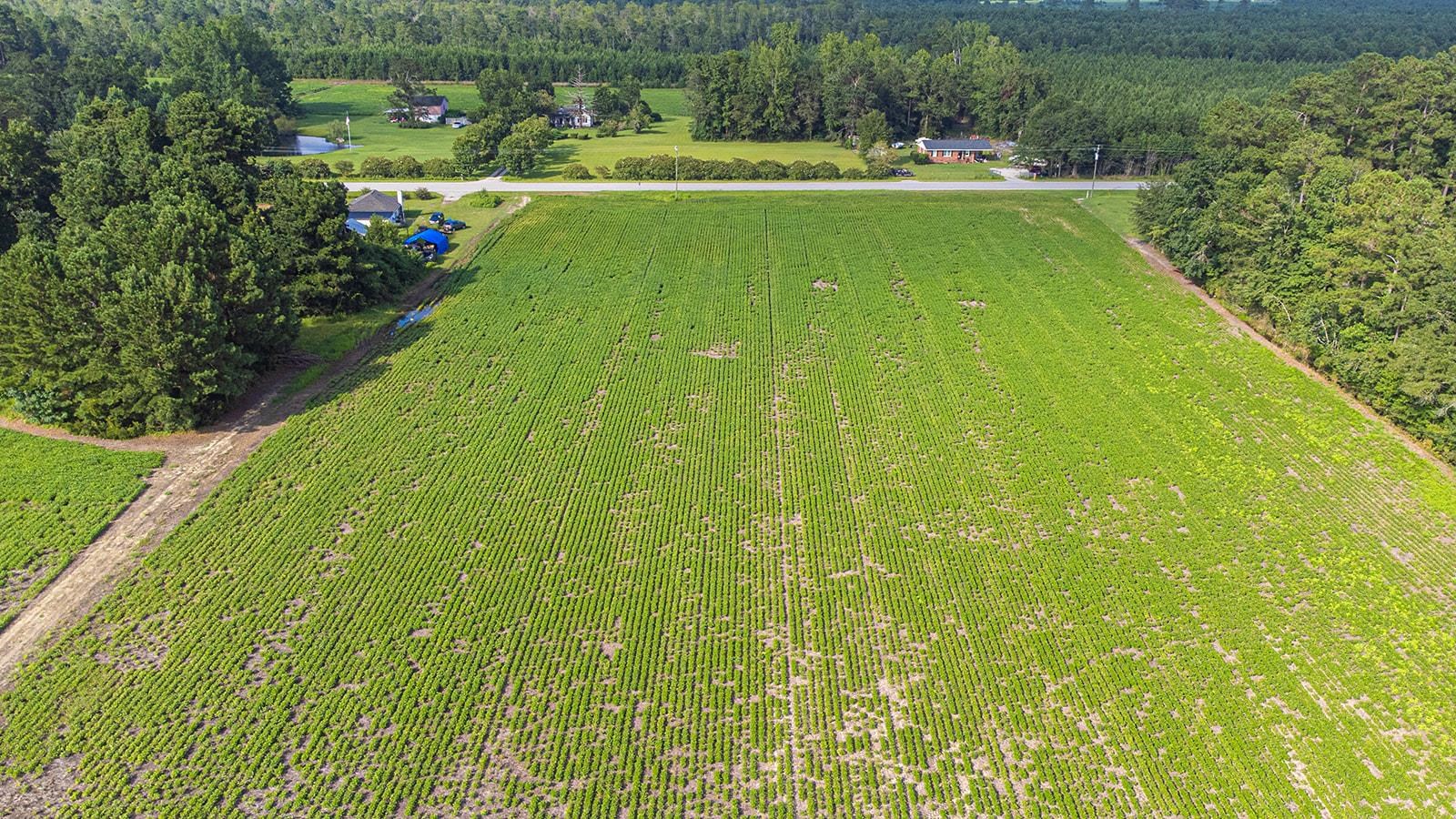 Tbd 37 Acres Highway 9 W Property Photo 16