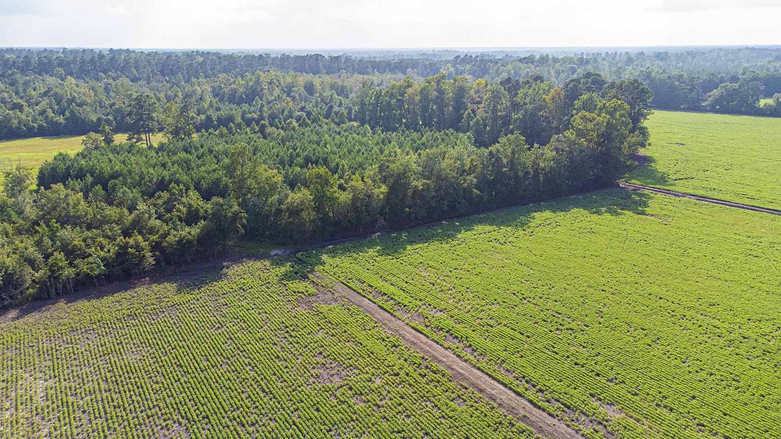 Tbd 37 Acres Highway 9 W Property Photo 17