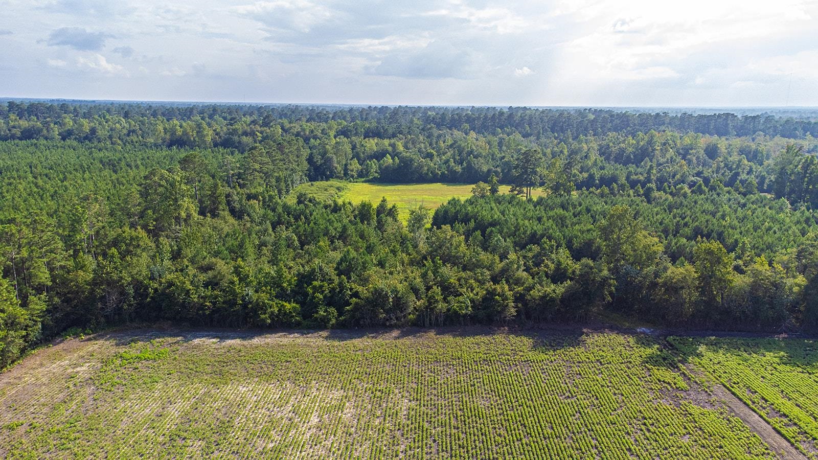 Tbd 37 Acres Highway 9 W Property Photo 18