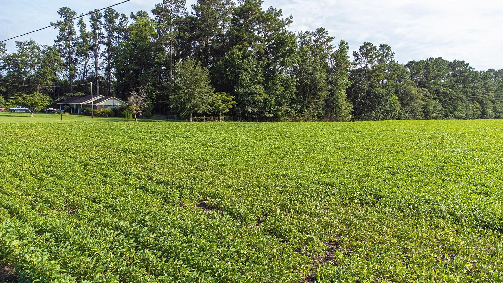 Tbd 37 Acres Highway 9 W Property Photo 21
