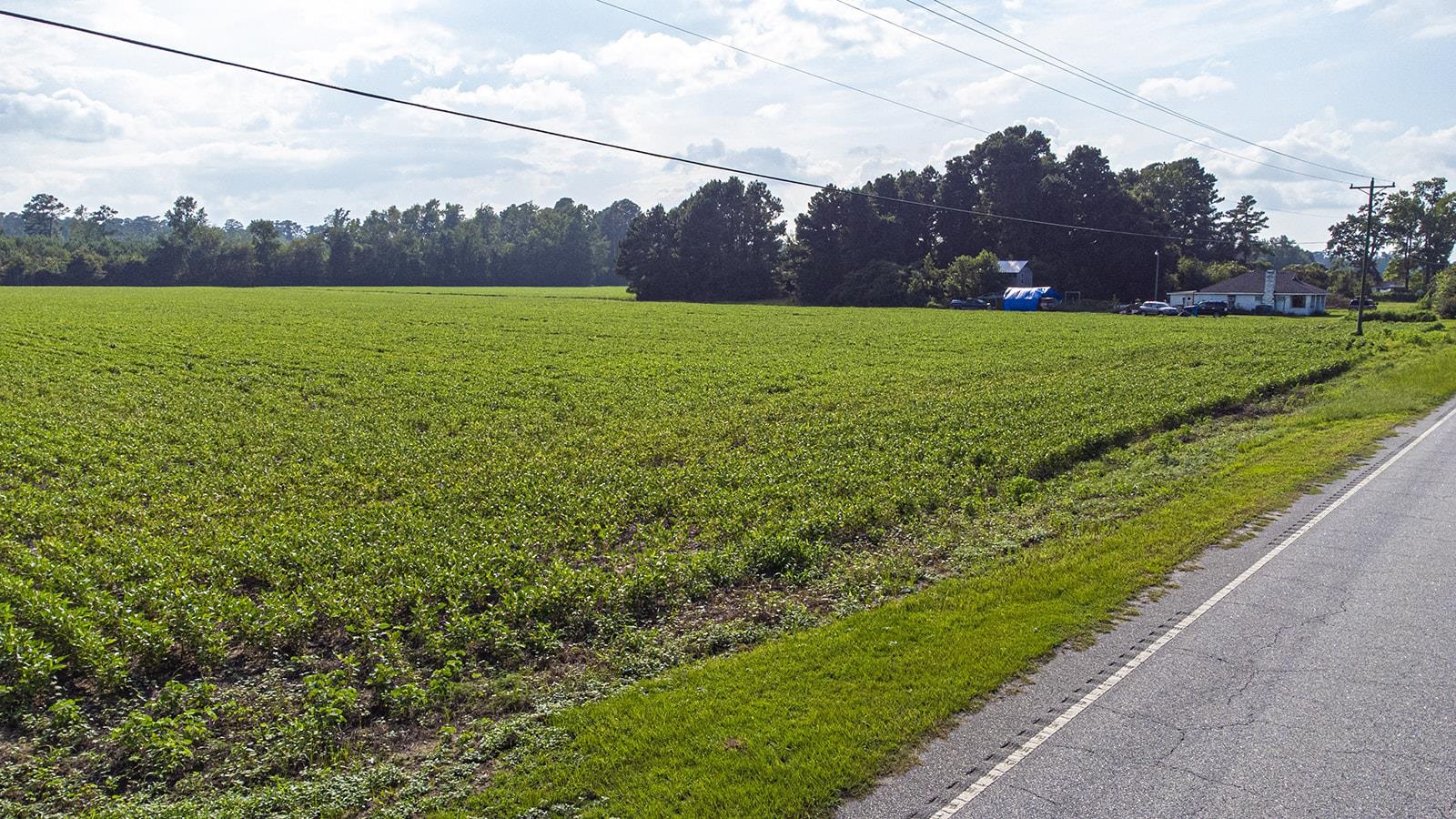 Tbd 37 Acres Highway 9 W Property Photo 22