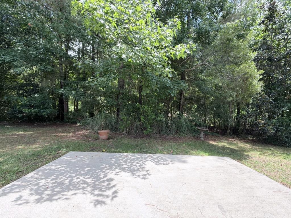 514 Cordgrass Ln. Property Photo 33