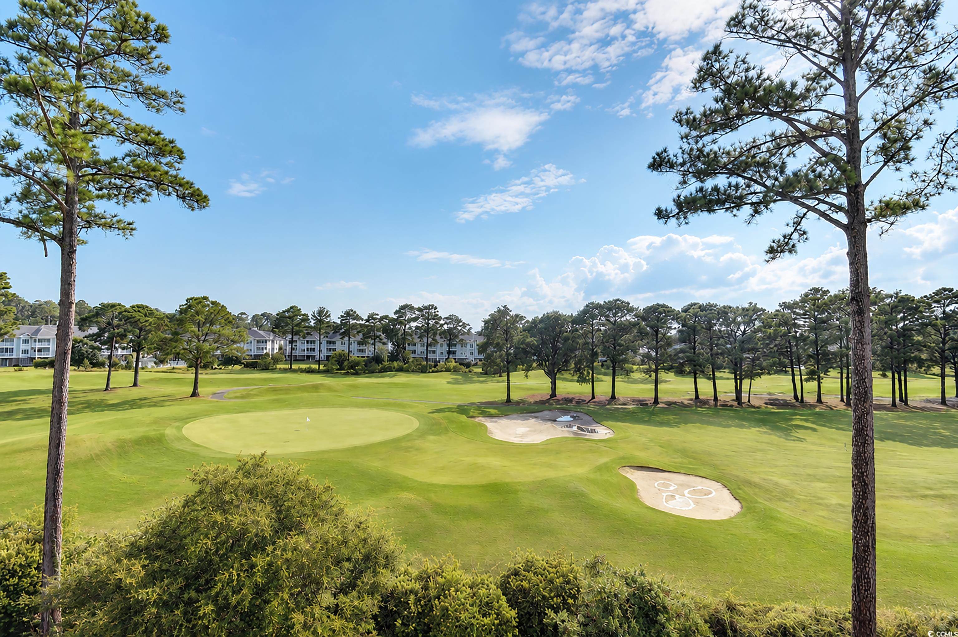 4898 Luster Leaf Circle Property Photo 17