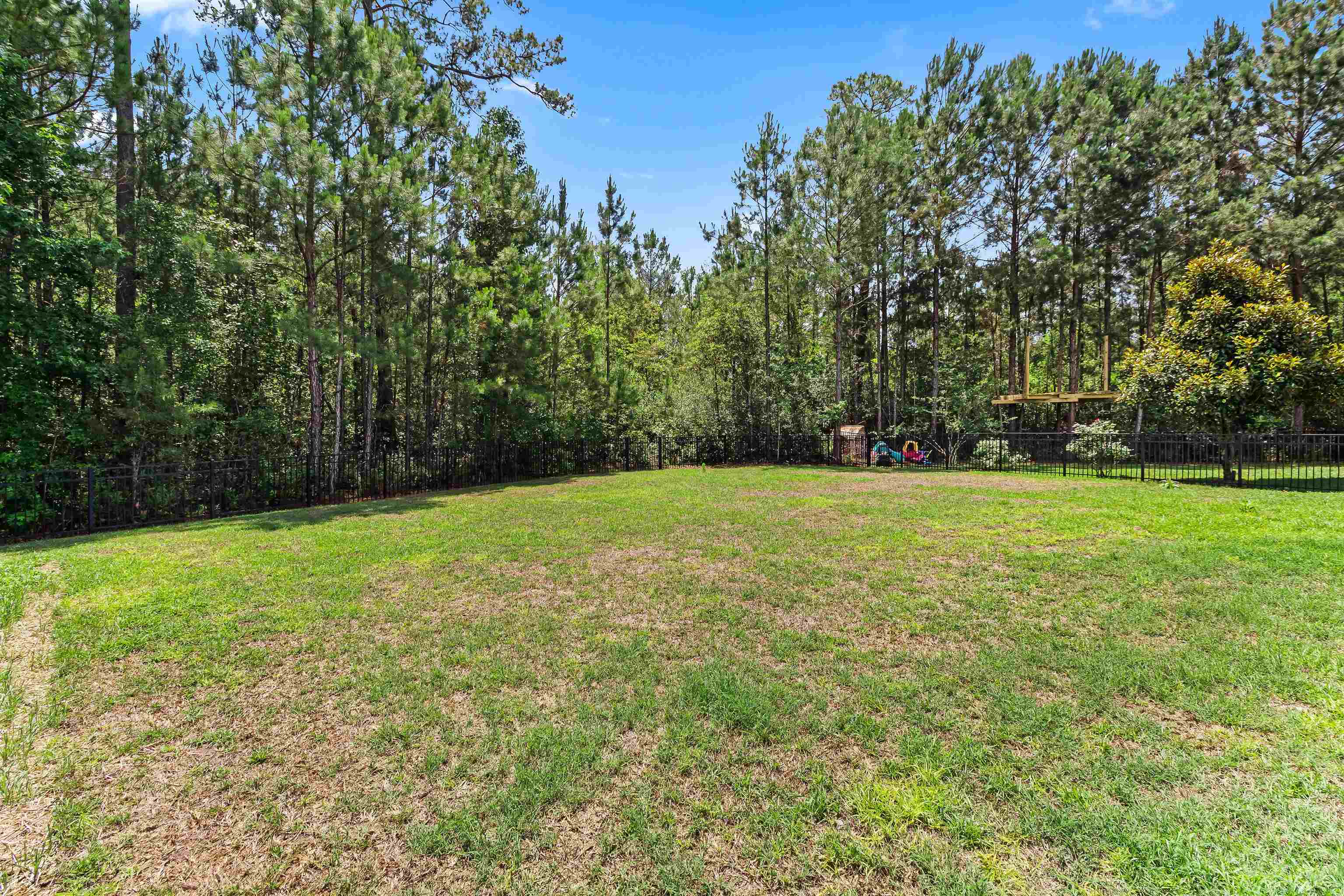 163 Long Leaf Pine Dr. Property Photo 36