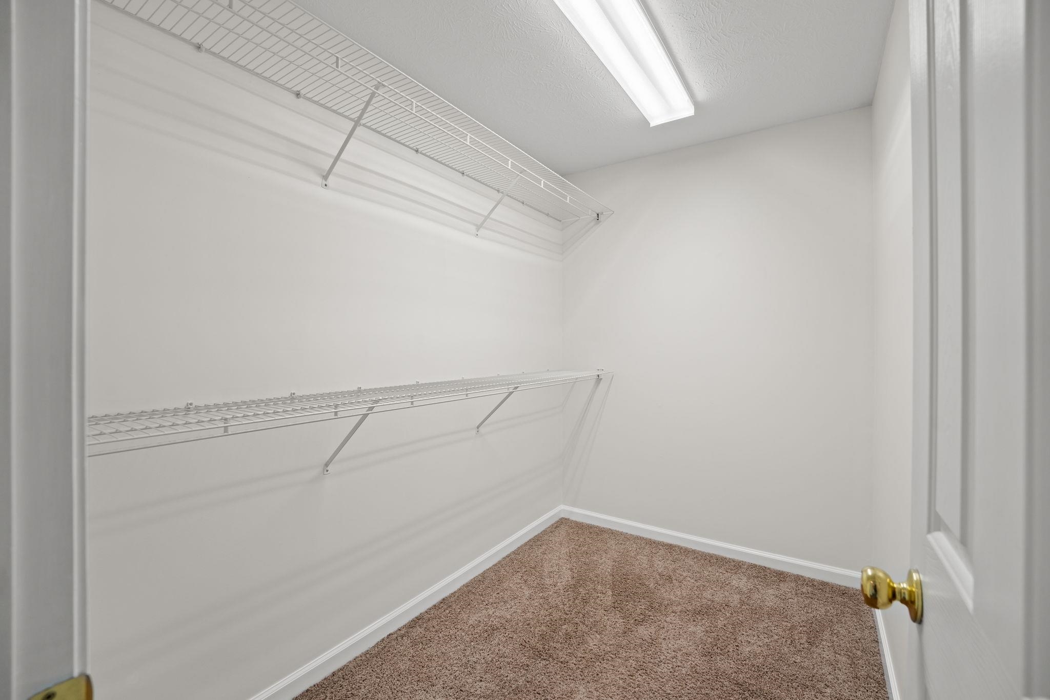 261 Ashepoo Creek Dr. Property Photo 35